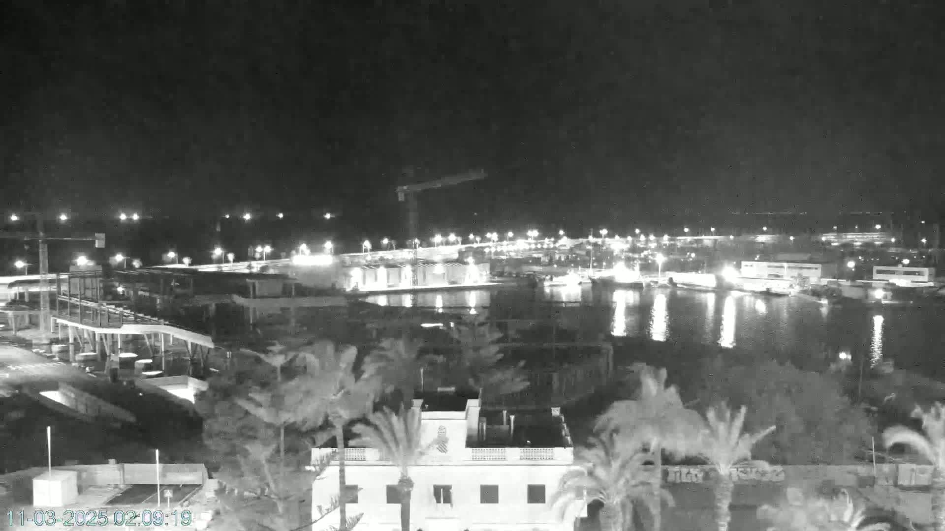A nighttime, black and white view of a harbor with illuminated buildings and palm trees in the foreground.