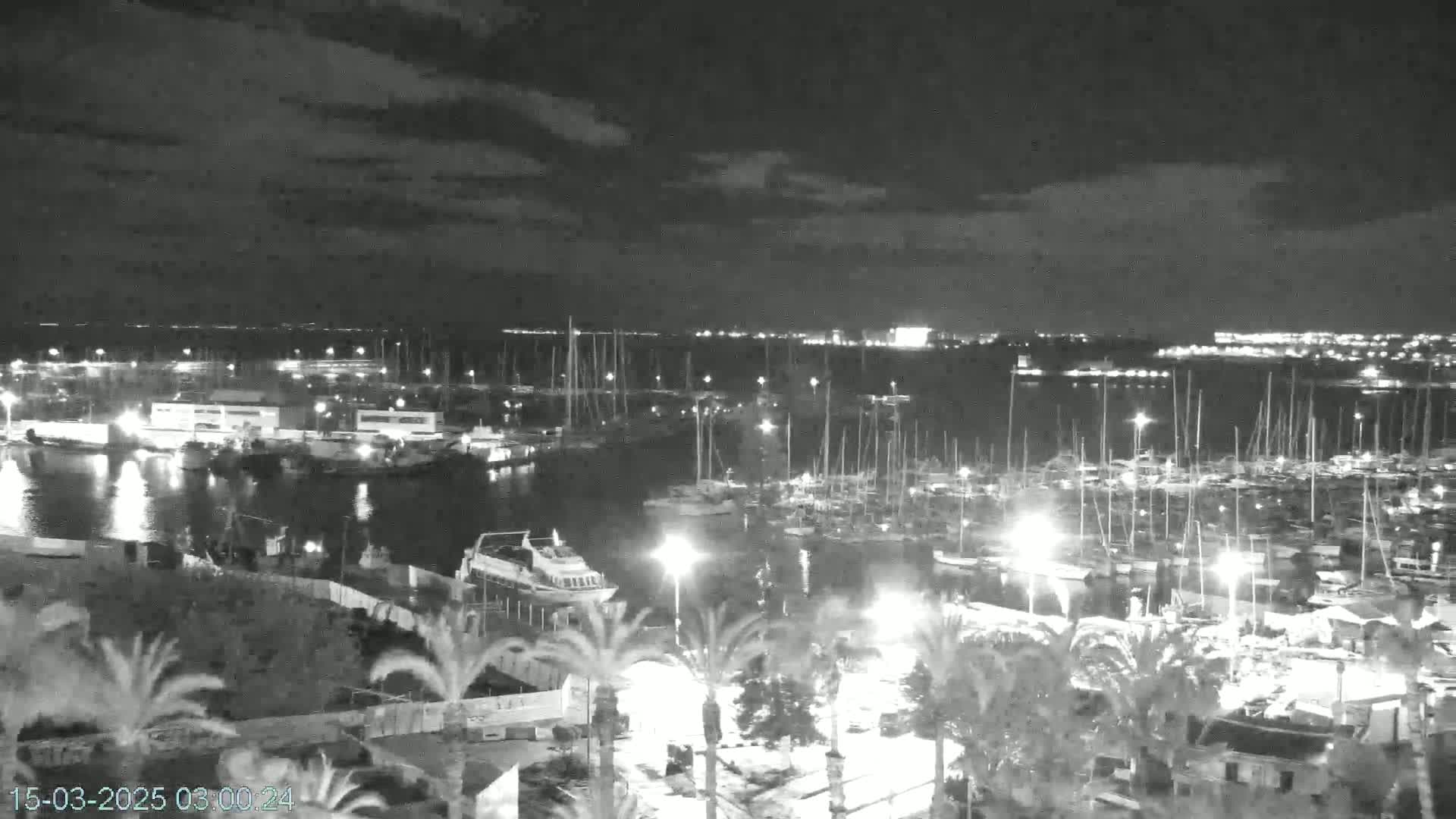 A nighttime, overcast view of a marina filled with boats, surrounded by palm trees and buildings.