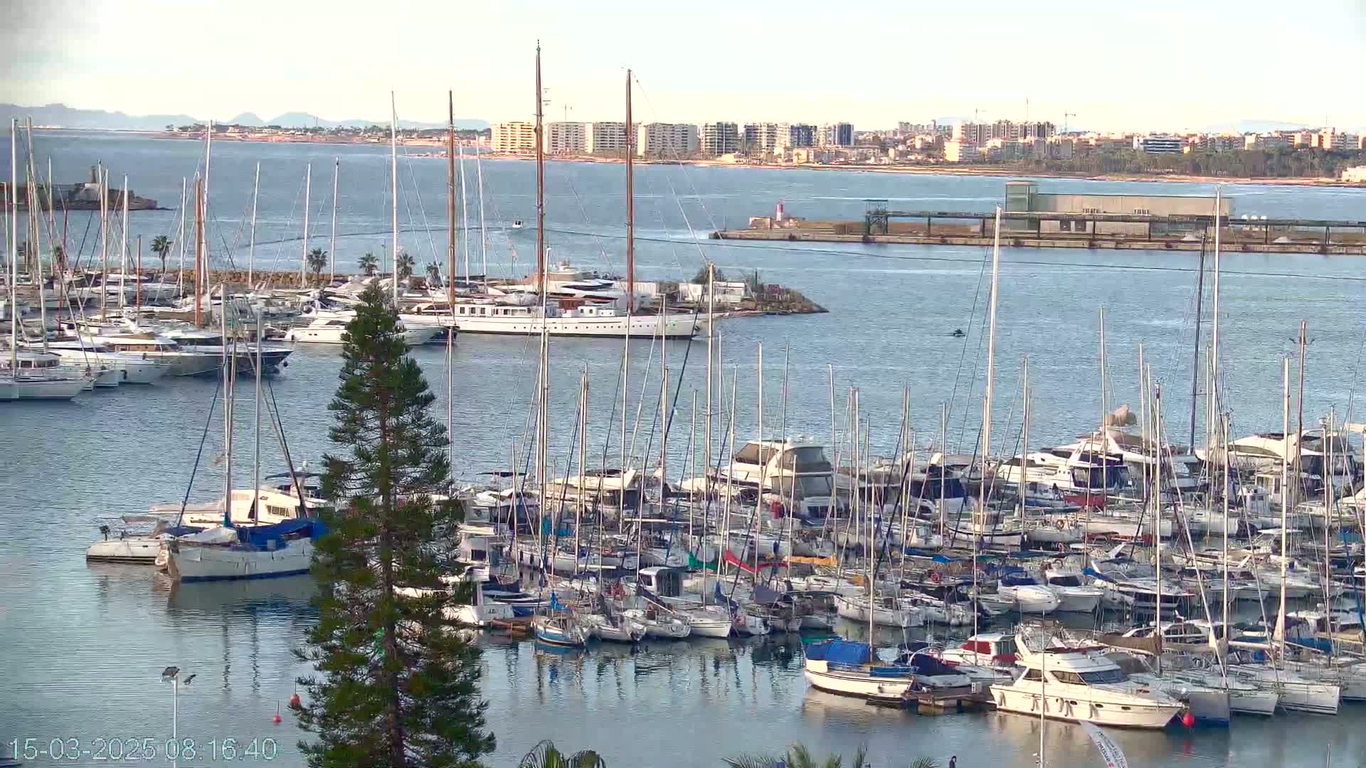 A marina filled with numerous sailboats and motorboats under a mostly clear sky.