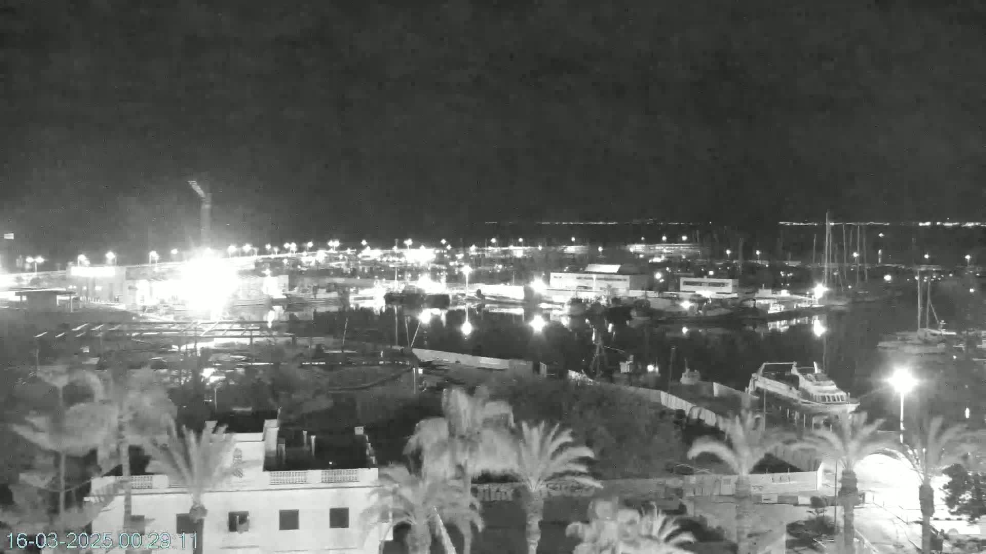 A nighttime, black and white view of a marina filled with boats and illuminated buildings, surrounded by palm trees under a dark sky.