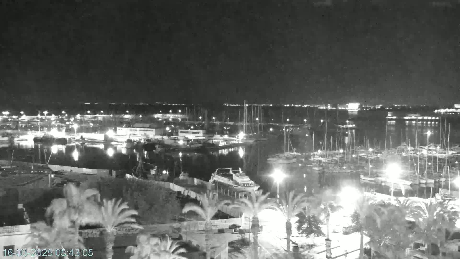 A nighttime, low-light view of a marina filled with docked boats, surrounded by palm trees and buildings.