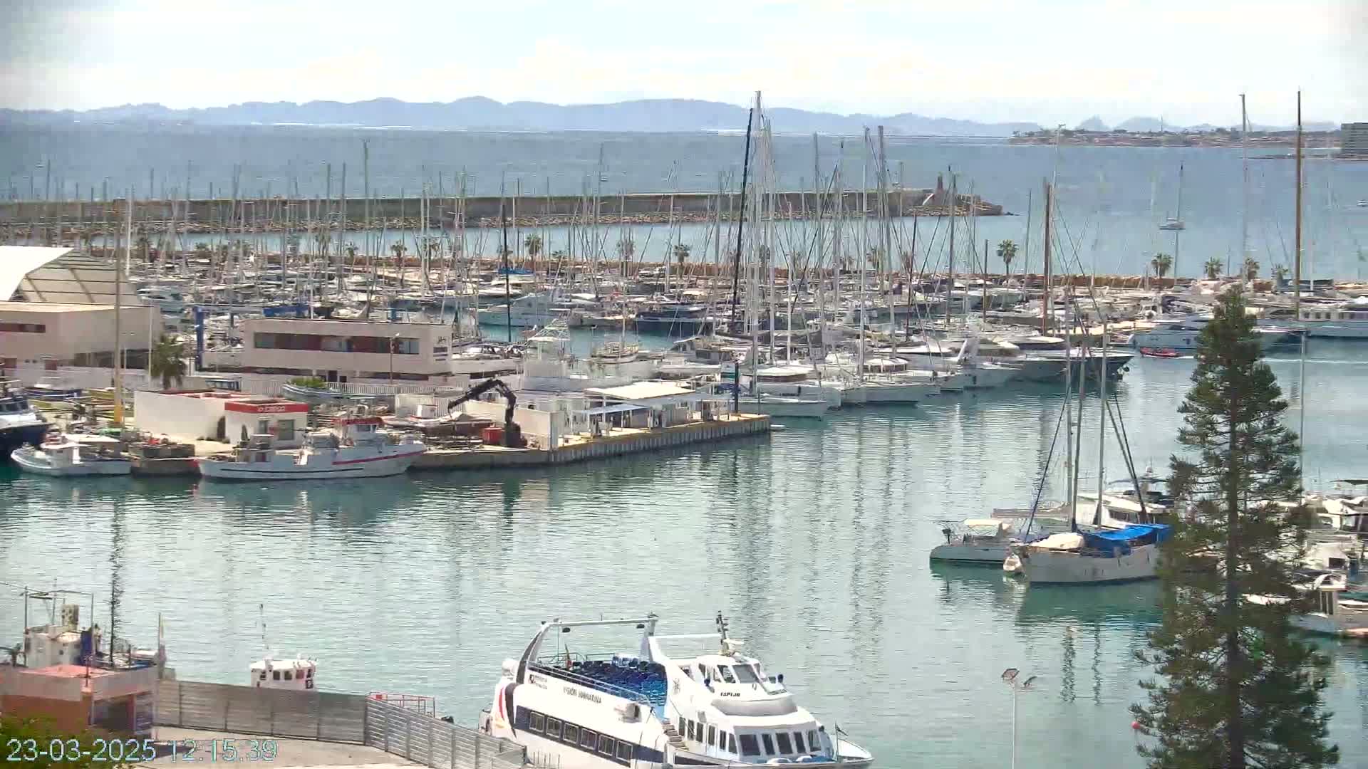 A harbor filled with many sailboats and motorboats on a sunny day, with mountains visible in the distance.