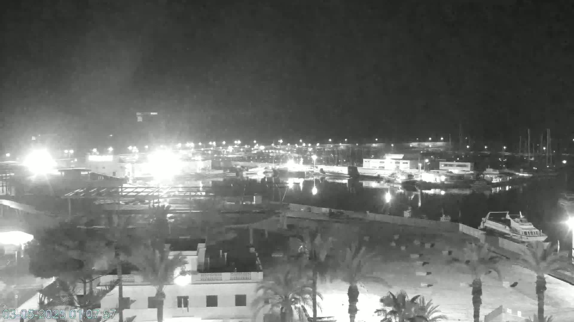 A nighttime view of a marina, illuminated with artificial lights under a dark, possibly overcast sky, shows numerous boats docked and a few palm trees in the foreground.