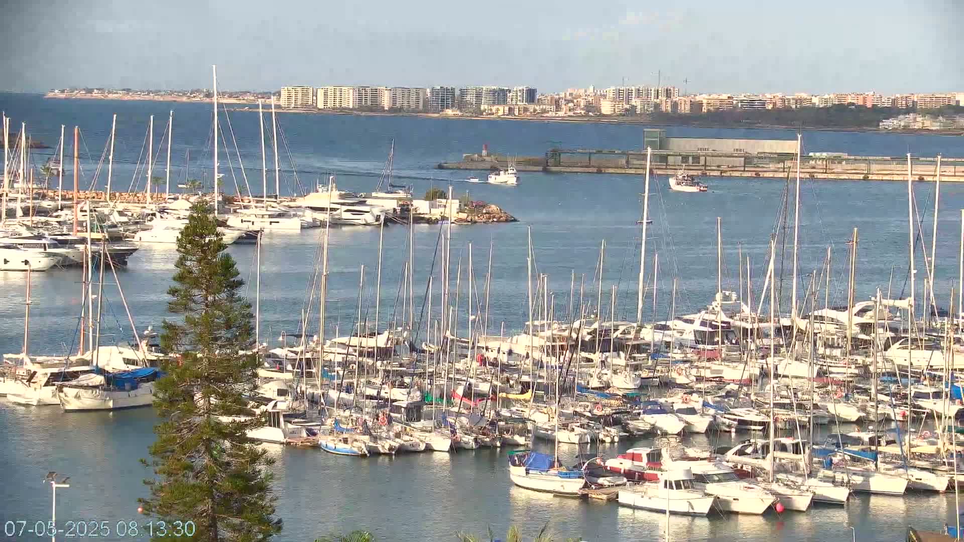 A marina filled with numerous sailboats and motorboats is situated on calm water, with a distant cityscape visible under a clear sky.