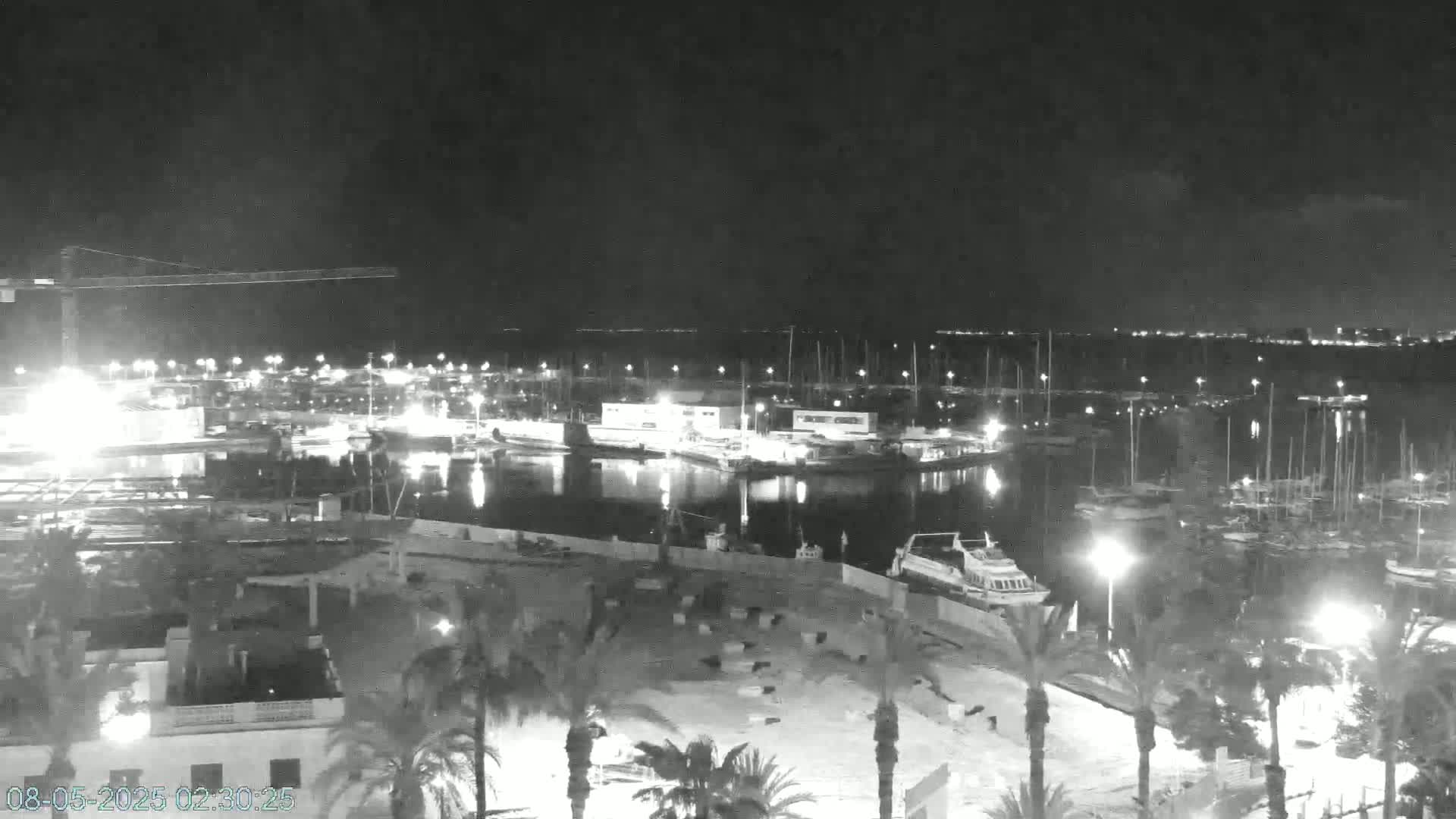 A nighttime, low-light view of a marina filled with boats, surrounded by palm trees and buildings under a clear sky.