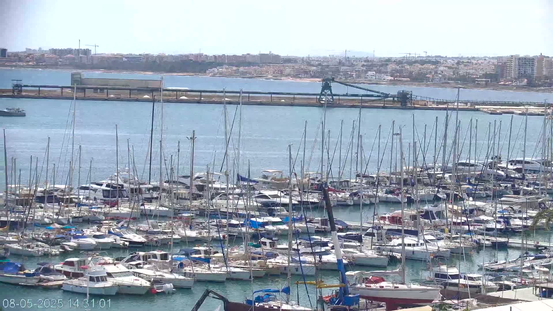 A large marina filled with numerous sailboats and motorboats is situated in front of a city skyline on a sunny day.