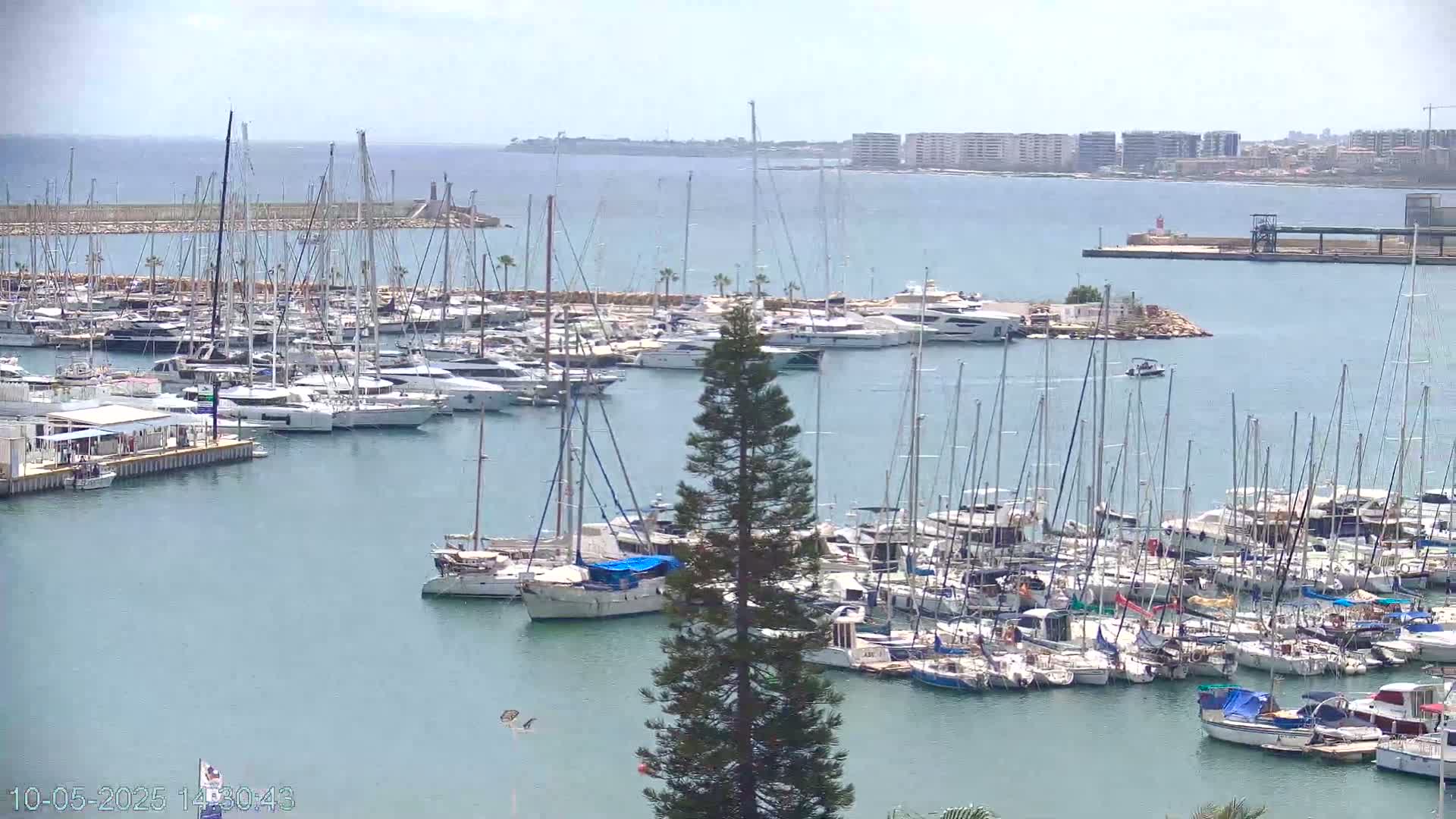 A marina filled with numerous sailboats and motorboats is seen on a partly sunny day, with a city skyline visible in the distance across calm water.