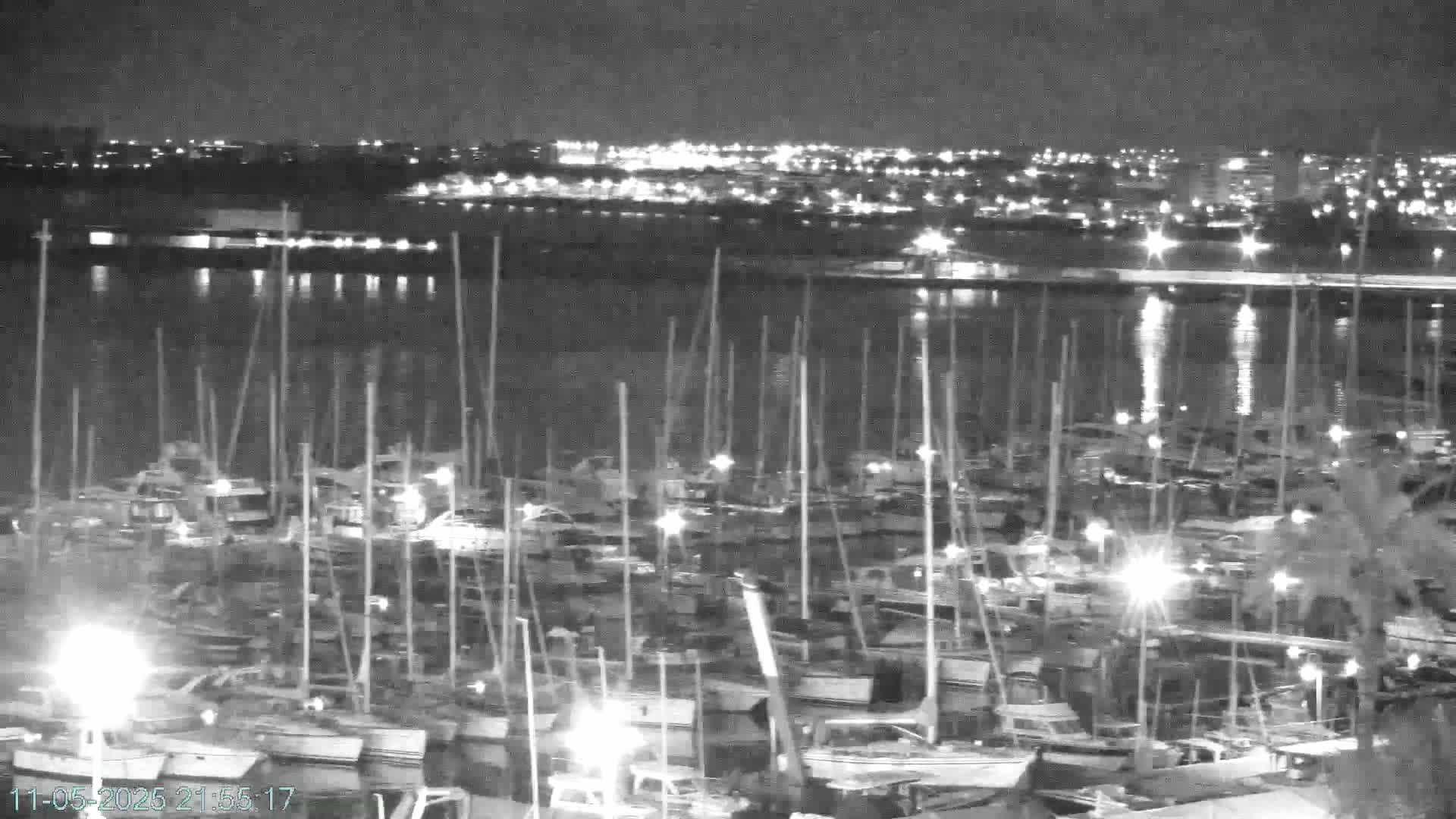 A nighttime view of a marina filled with numerous boats moored at their docks, under a clear sky with city lights visible in the distance.