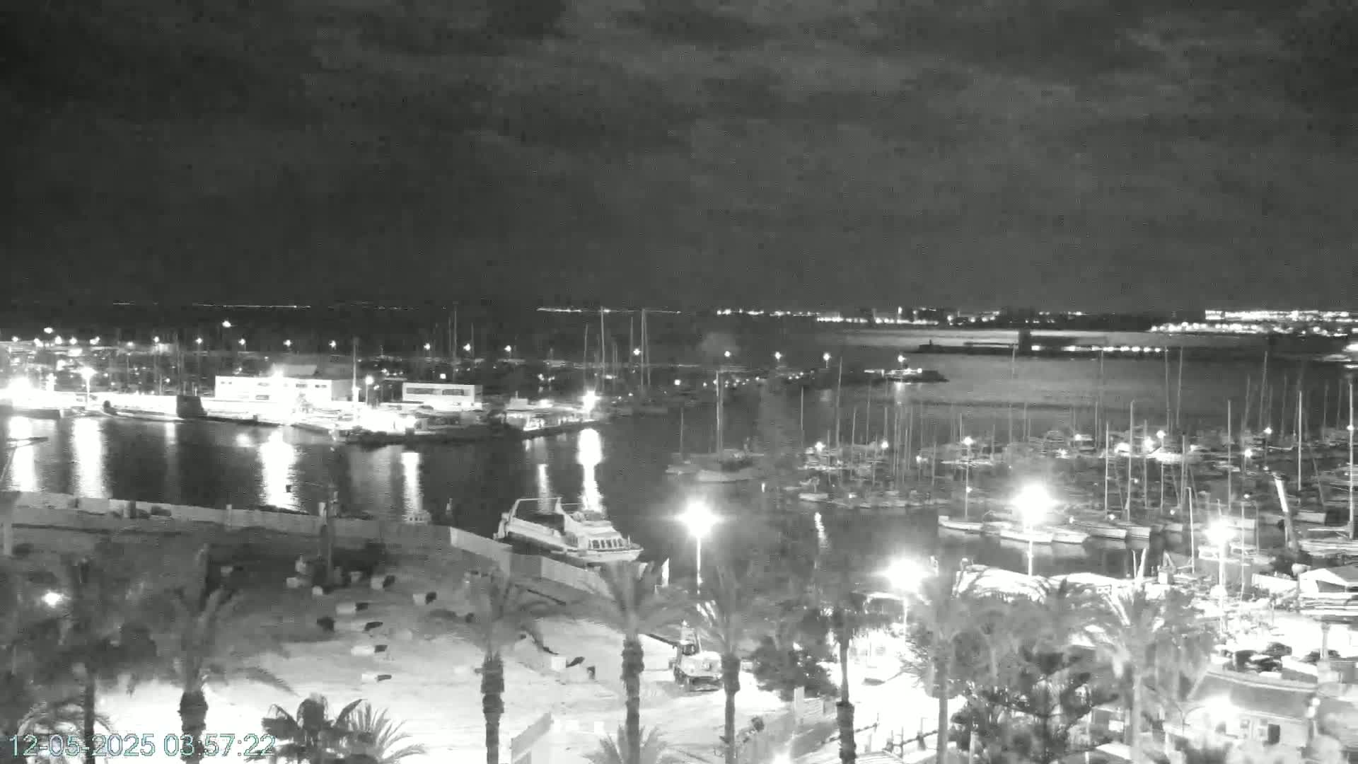 A nighttime, black-and-white view of a harbor filled with numerous boats and yachts, illuminated by lights, under a mostly cloudy sky.
