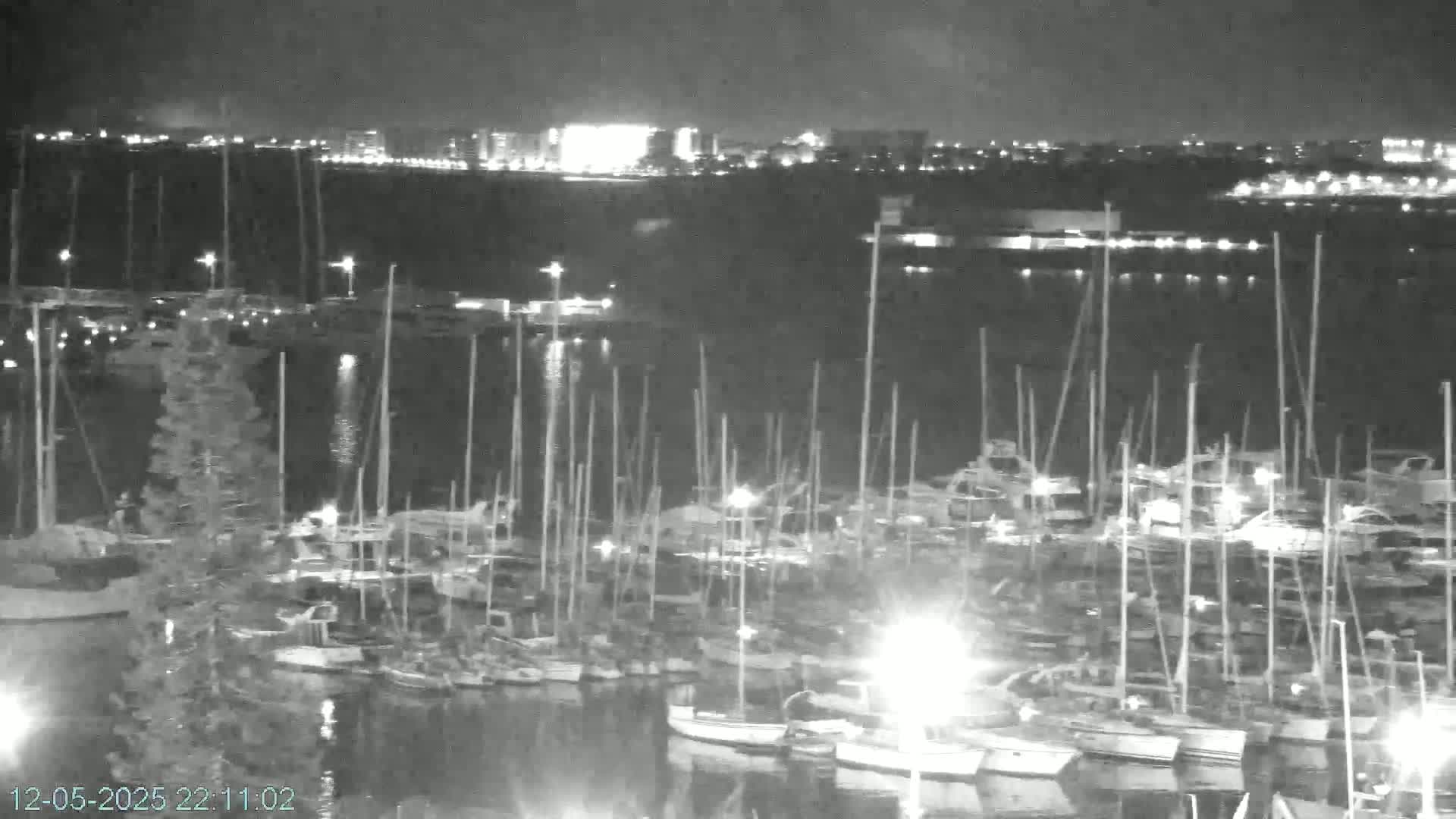 A nighttime view of a marina filled with numerous sailboats, with a city skyline faintly visible in the distance under a clear sky.