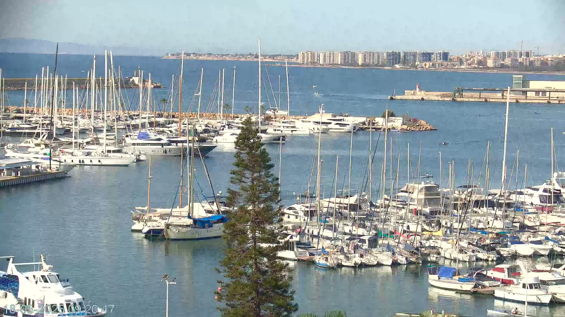 A marina filled with numerous sailboats and motorboats on a sunny day, with a city skyline visible in the distance.