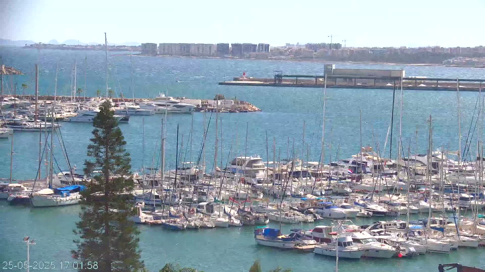 A large marina filled with numerous sailboats and motorboats is situated on a calm, clear body of water under a bright, sunny sky, with a distant cityscape visible on the horizon.