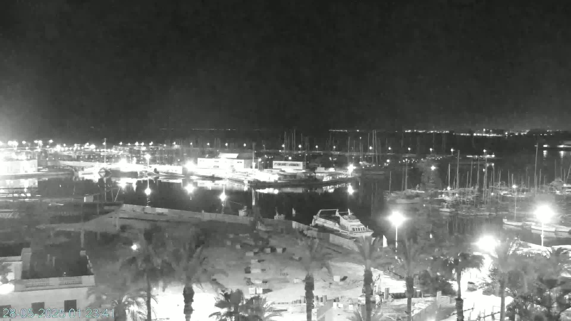 A nighttime, high-angle view shows a harbor filled with boats, lit by many lights, with palm trees and buildings visible in the foreground.