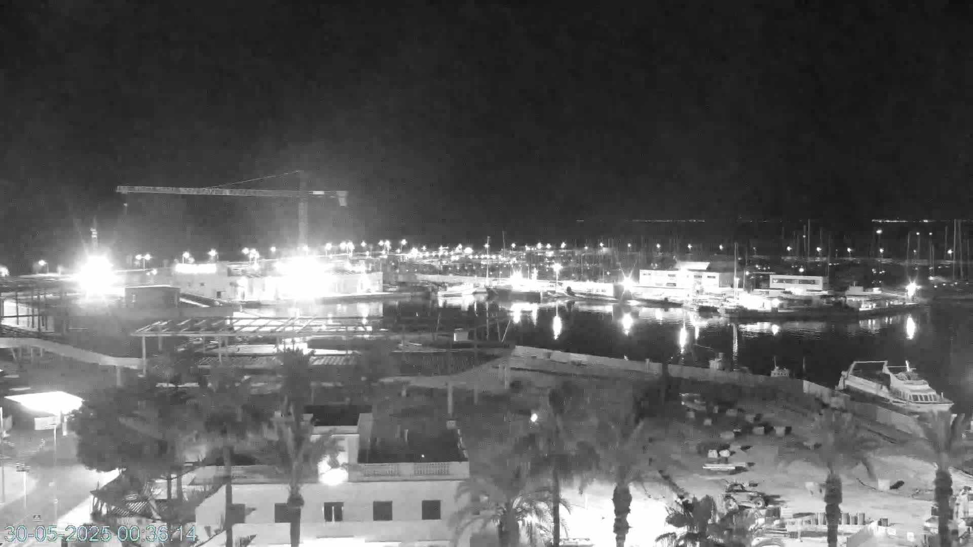 A nighttime, high-angle view of a harbor filled with boats, illuminated buildings, and a construction crane, under a clear sky.
