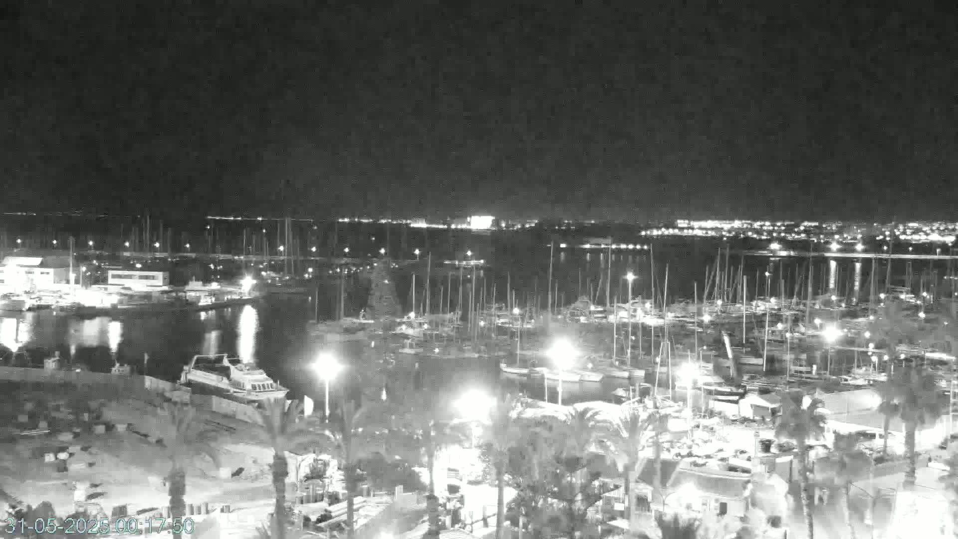 A nighttime, high-angle view of a marina filled with numerous boats and surrounded by palm trees and buildings, with a city skyline visible in the distance across the water.