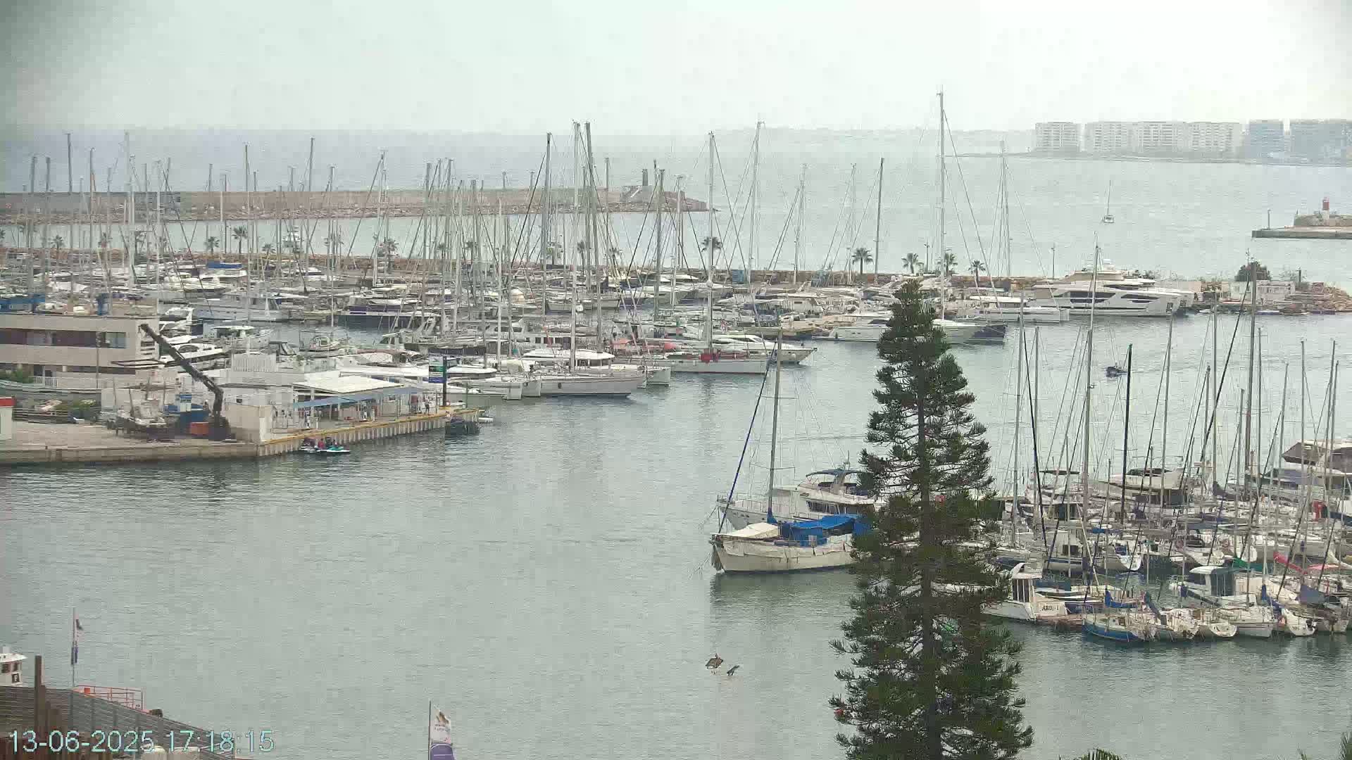 A hazy, overcast day reveals a crowded marina filled with numerous sailboats and motor yachts, nestled beside a calm body of water.
