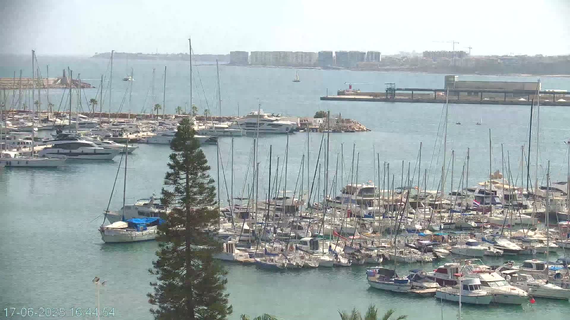 A marina filled with numerous sailboats and motorboats is visible on a hazy, sunny day, with a city skyline in the distance.