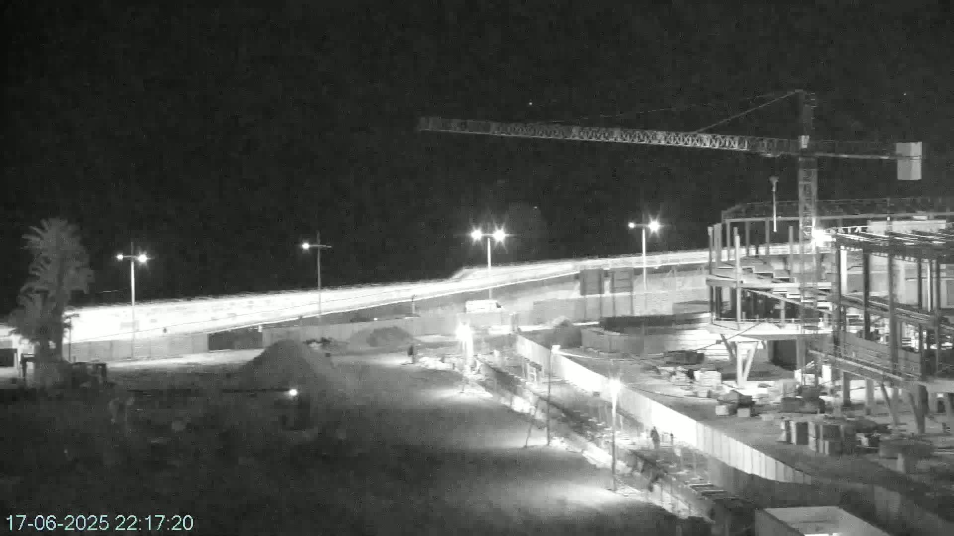 A nighttime, black and white image shows a construction site with a crane, illuminated by artificial lights, next to a roadway and palm trees.
