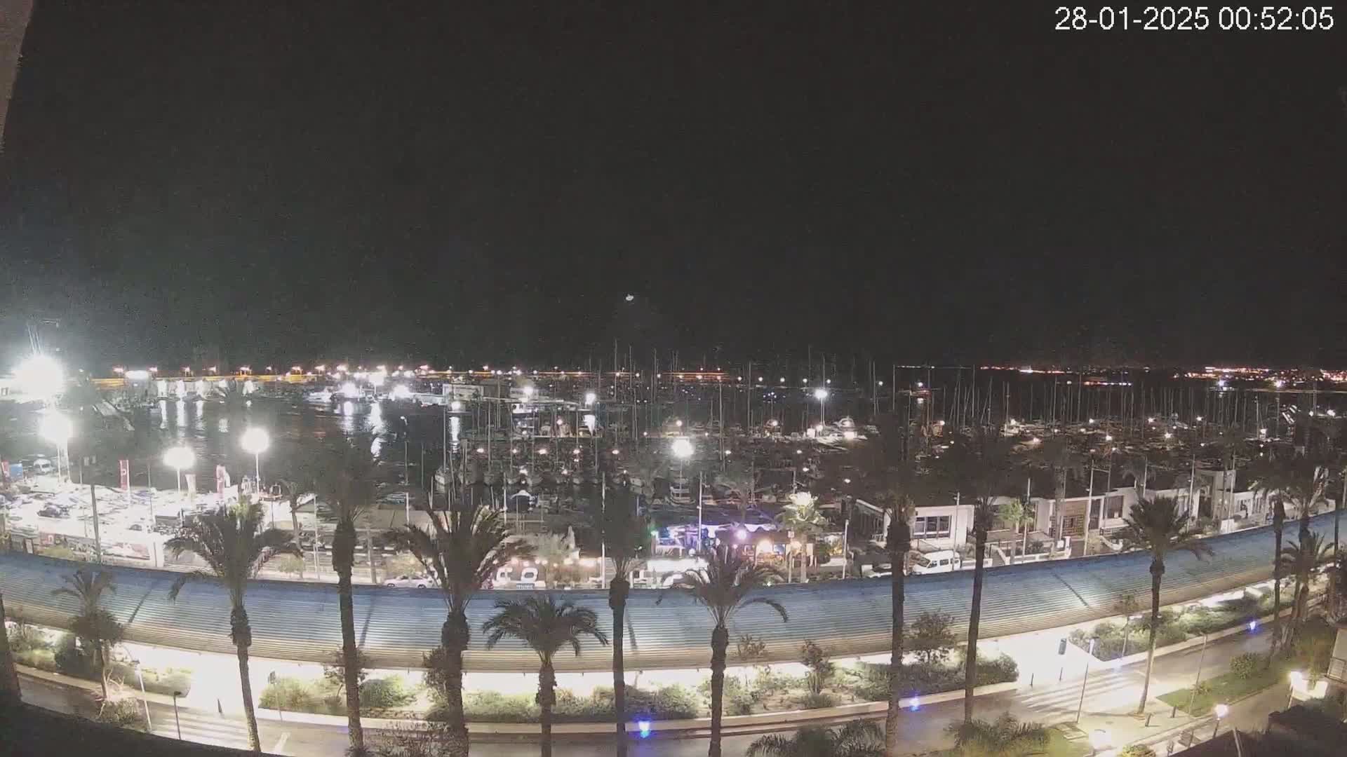 A nighttime view of a harbor filled with boats, lined with palm trees and buildings along a curved roadway under a clear, dark sky.