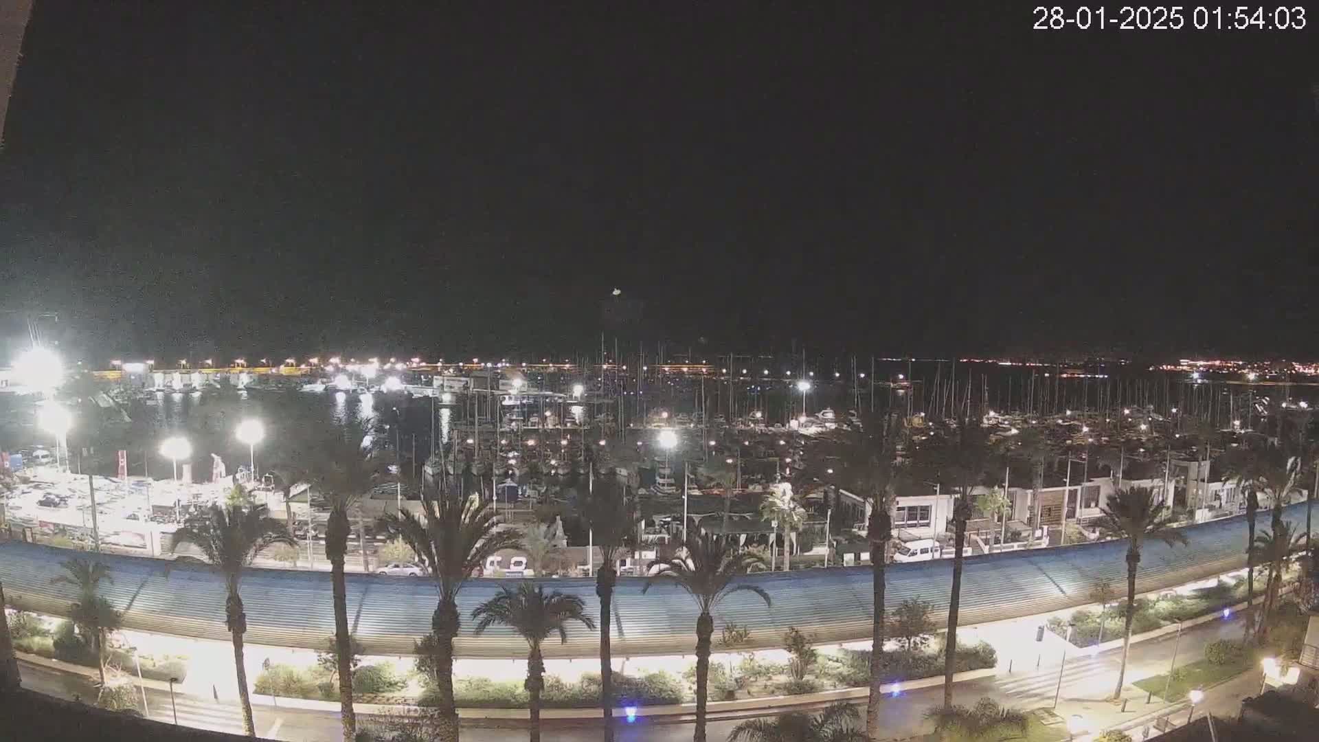 A nighttime, aerial view of a marina filled with boats, lined with palm trees and illuminated by lights.