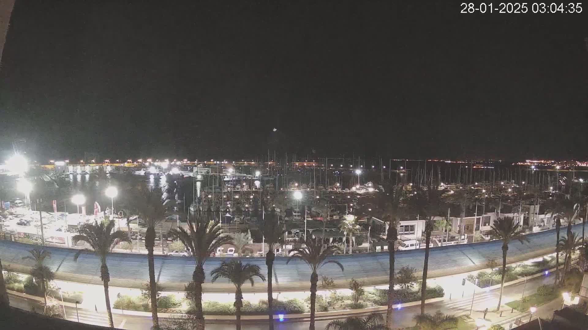 A nighttime, aerial view of a marina filled with boats, surrounded by palm trees and a curved roadway.