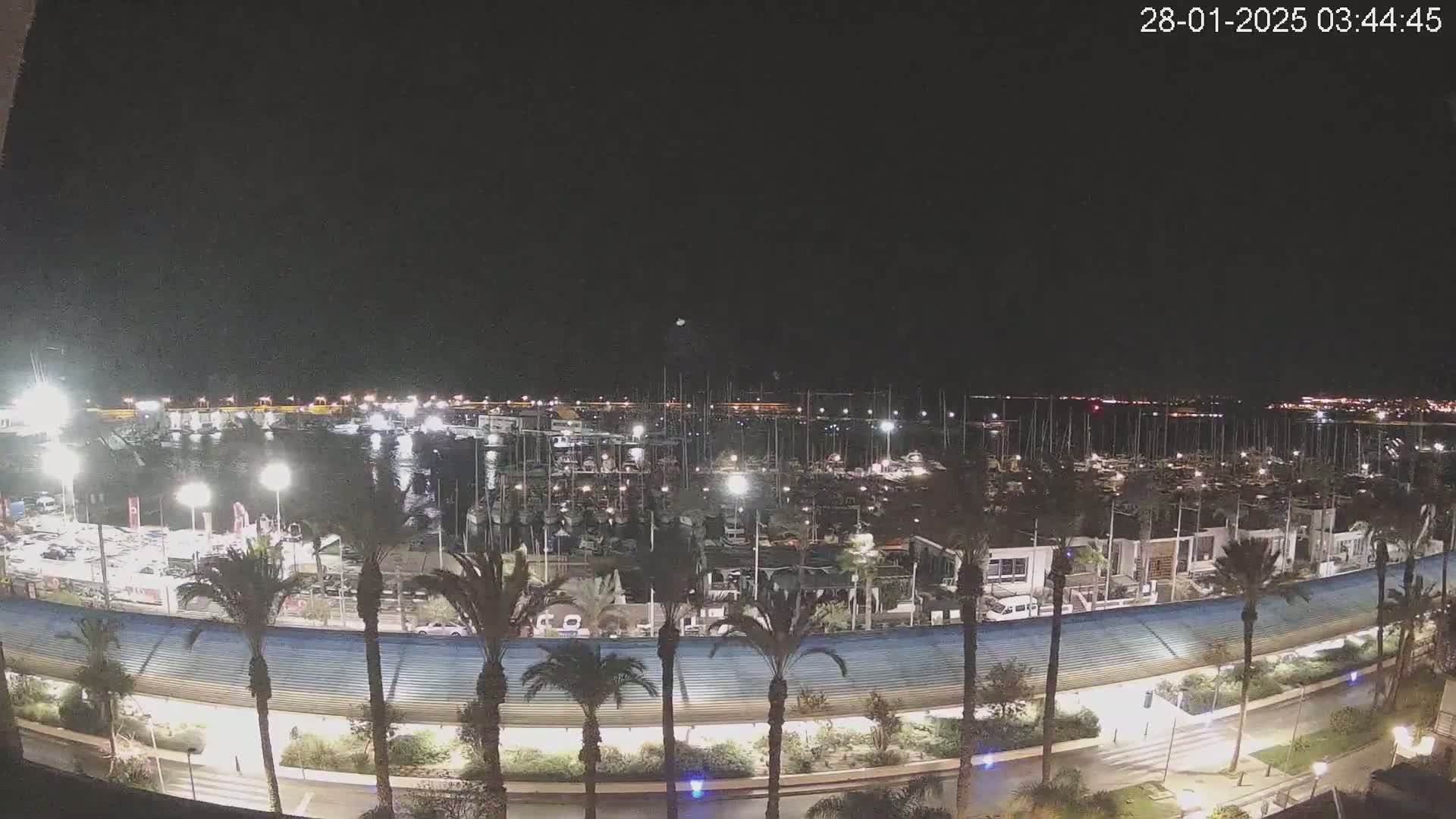 A nighttime view of a marina filled with boats, lined with palm trees and illuminated by lights under a clear, dark sky.