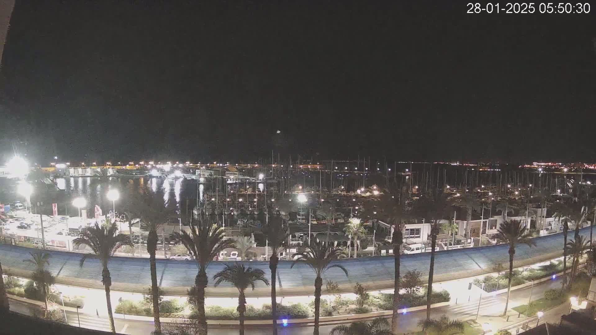 A nighttime, illuminated view of a marina filled with numerous boats, surrounded by palm trees and a curved roadway.