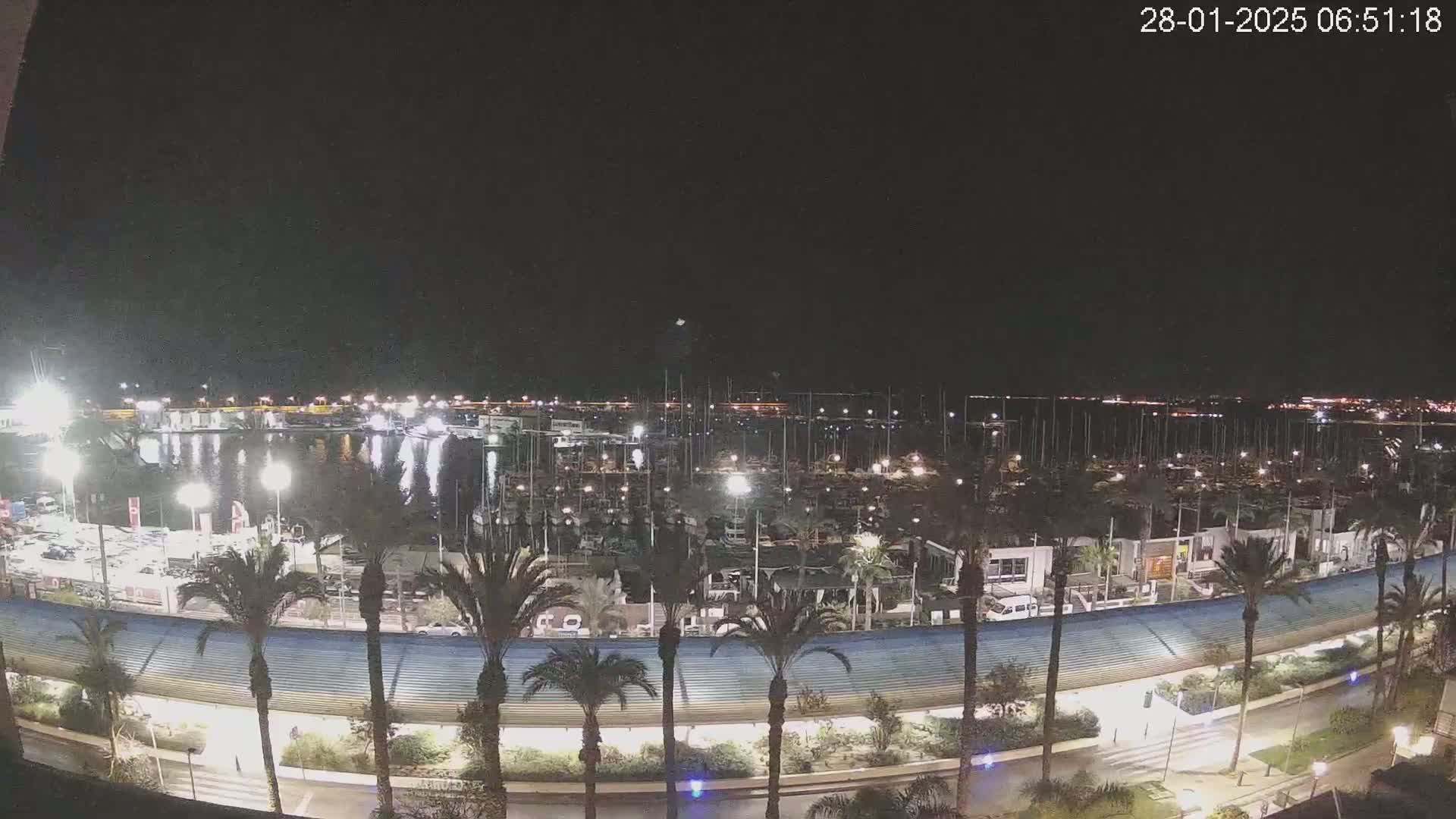 A nighttime view of a marina filled with boats, surrounded by palm trees and a curved roadway under a clear, dark sky.