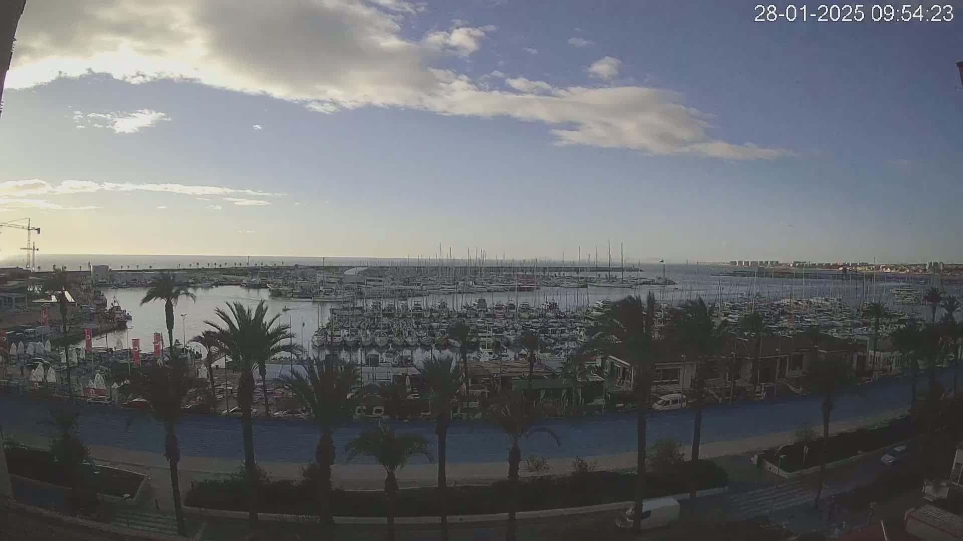 A partly cloudy day overlooks a marina filled with numerous boats, lined with palm trees and a roadway.