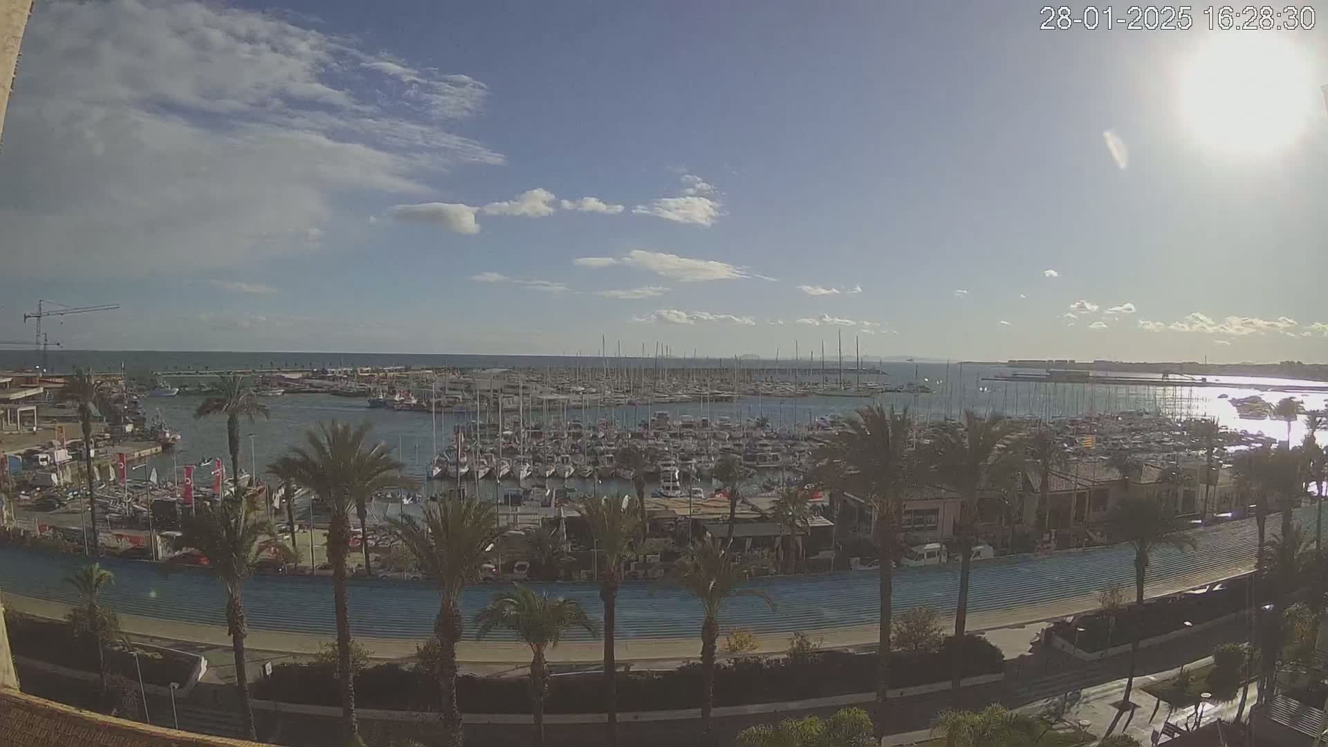 A sunny day reveals a harbor filled with numerous sailboats, lined with palm trees and a paved walkway, under a partly cloudy sky.