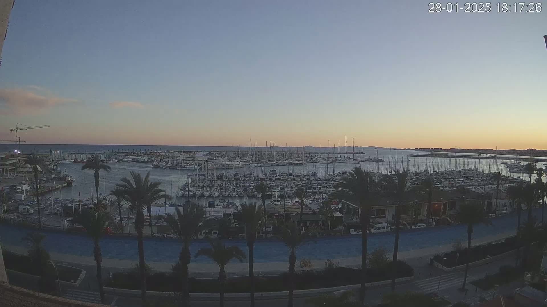 A calm sunset over a harbor filled with many boats and yachts, lined with palm trees and a paved walkway.