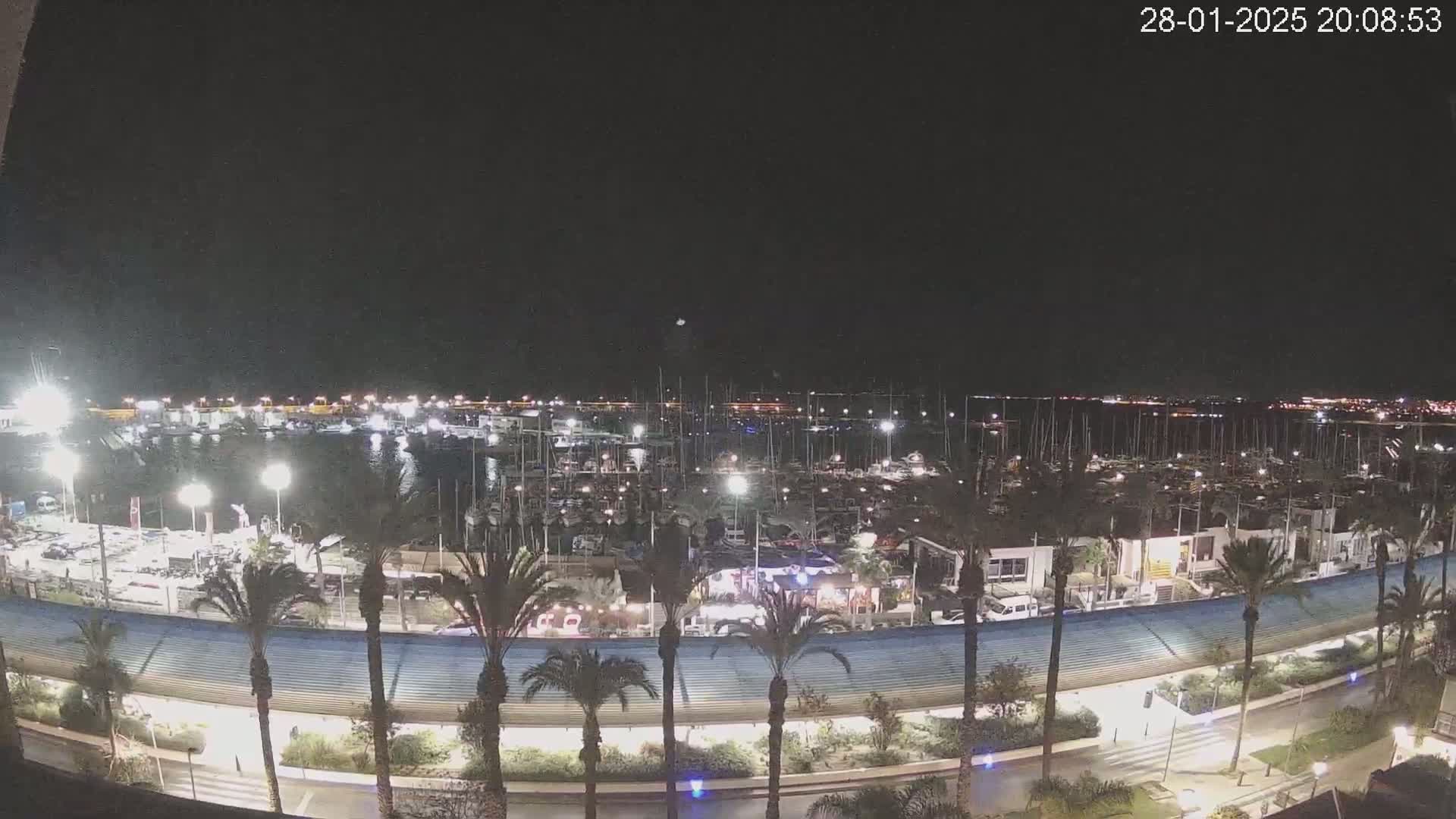 A nighttime view of a marina filled with boats, lined with palm trees and illuminated by lights.