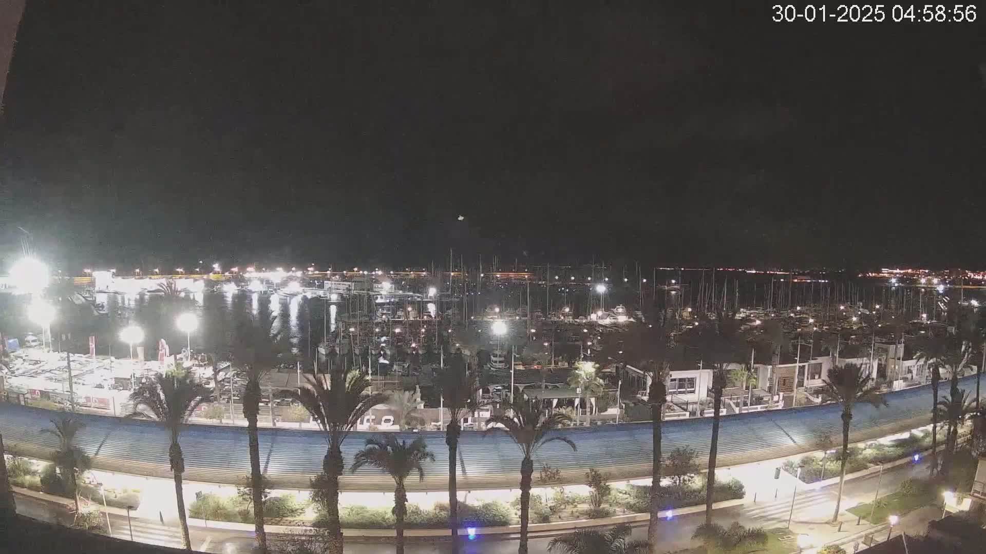 A nighttime view of a marina filled with boats, surrounded by palm trees and a lighted walkway.