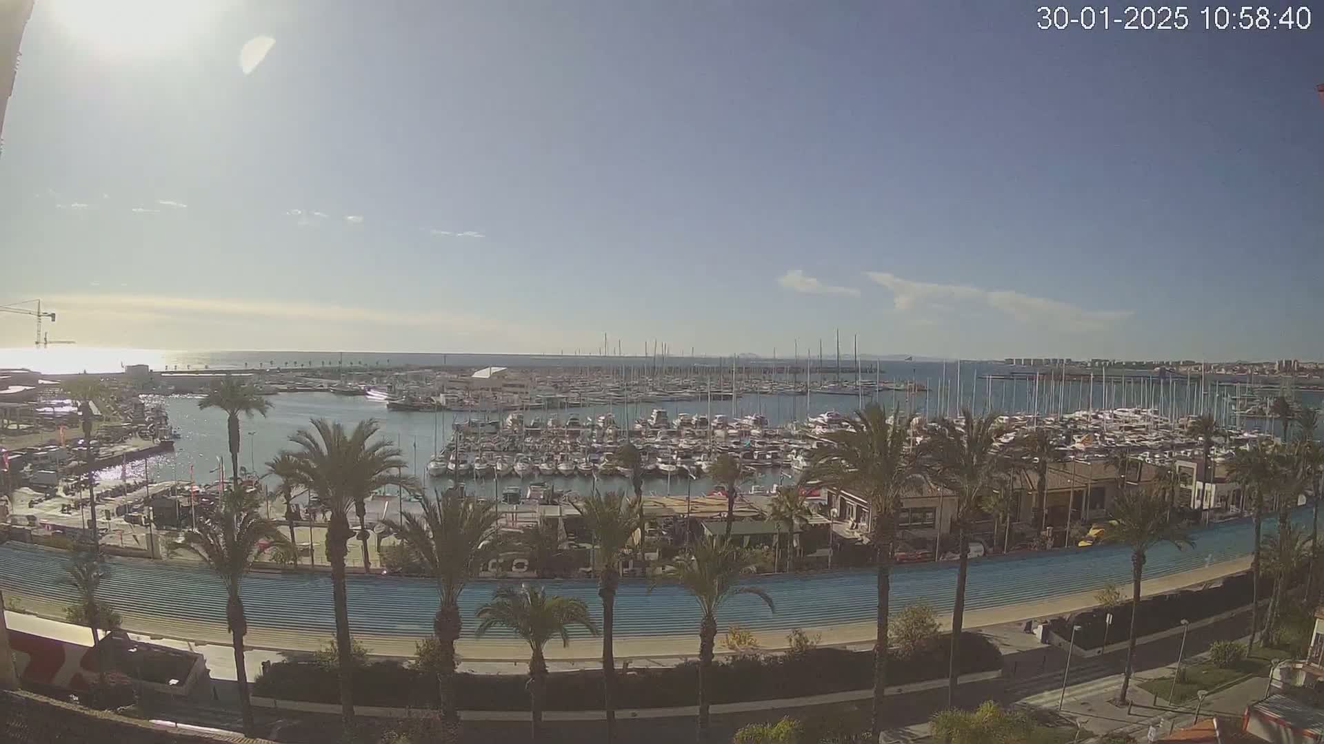 A sunny day overlooks a marina filled with numerous boats and yachts, lined with palm trees and a paved walkway.