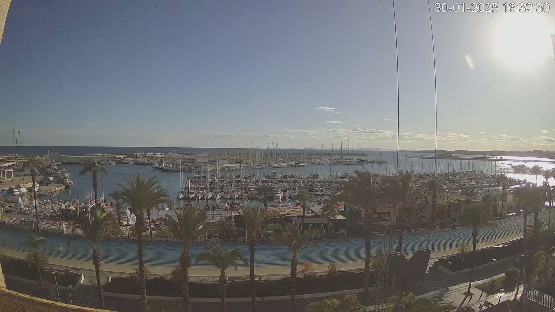 A sunny day overlooks a marina filled with numerous boats and yachts, lined by palm trees and a paved walkway.