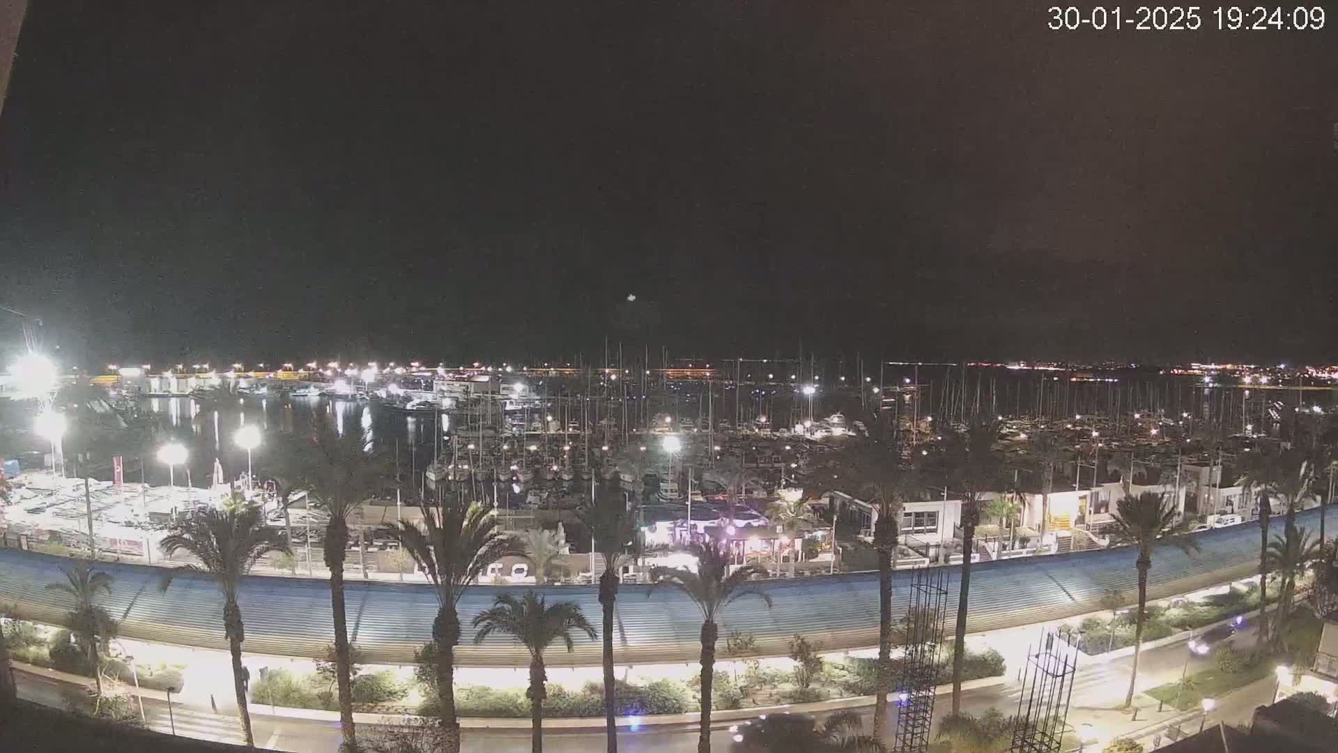 A nighttime view of a marina filled with boats, lined with palm trees and a curved walkway, under a clear, dark sky.