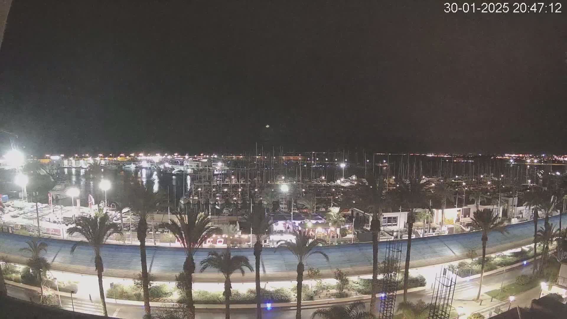 A nighttime view of a marina filled with numerous boats, surrounded by palm trees and a curved walkway under a clear, dark sky.