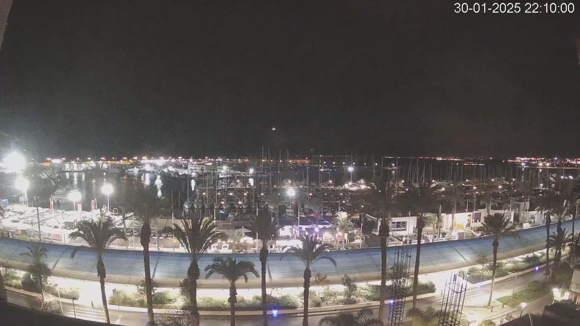 A nighttime view of a marina filled with boats, surrounded by palm trees and a roadway, under a clear, dark sky.