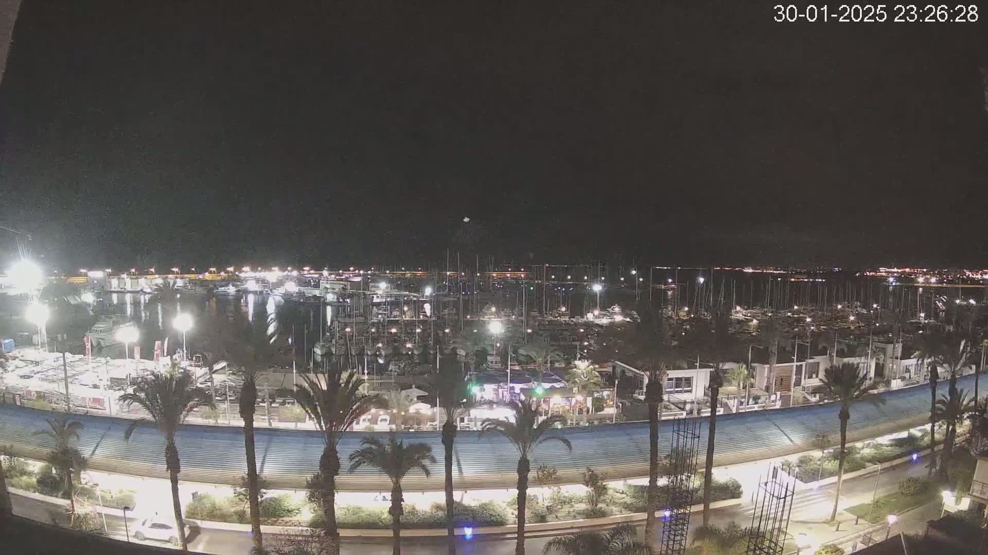 A nighttime view of a marina filled with numerous boats and yachts, lined with palm trees and buildings along a curved waterfront path under a clear, dark sky.