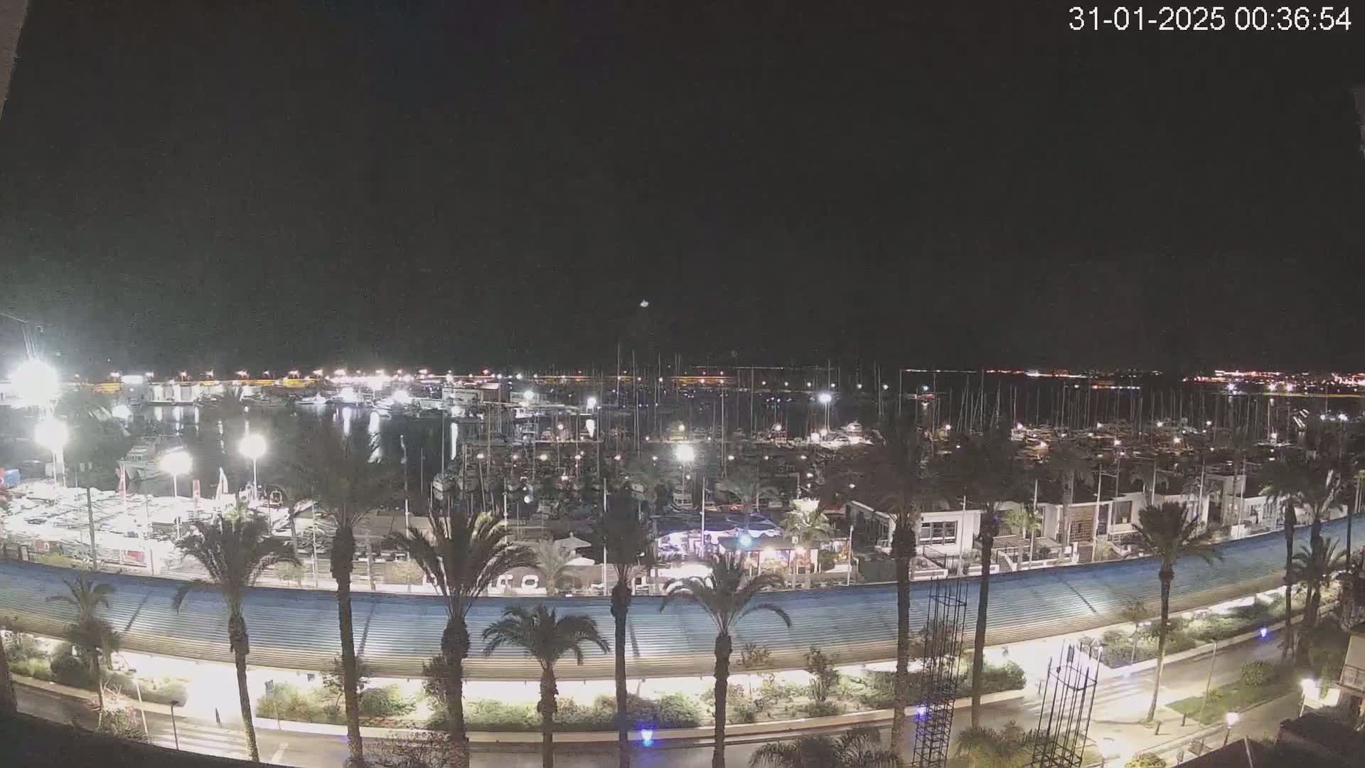 A nighttime view of a harbor filled with boats, surrounded by palm trees and a roadway under a clear, dark sky.