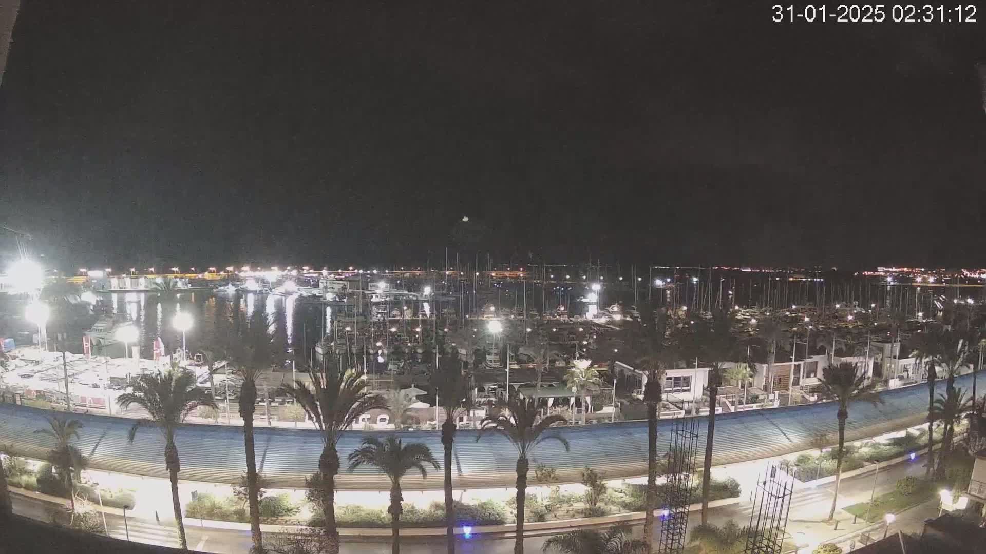 A nighttime view of a marina filled with boats, illuminated by lights, with palm trees lining a curved roadway in the foreground under a clear, dark sky.