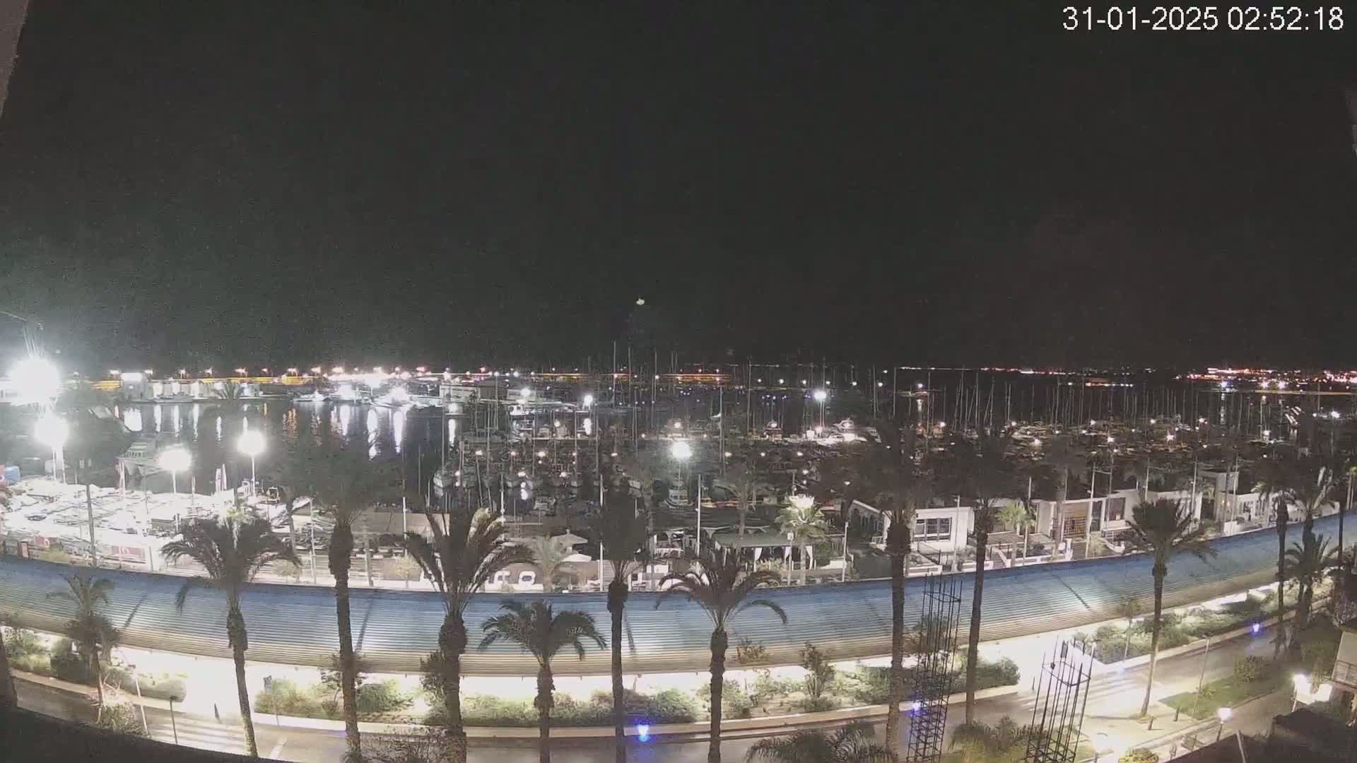 A nighttime view of a marina filled with boats, surrounded by palm trees and a curved roadway, under a clear, dark sky.