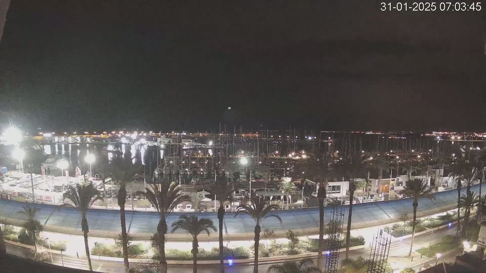A nighttime view of a marina filled with boats, surrounded by palm trees and a curved roadway under a clear, dark sky.