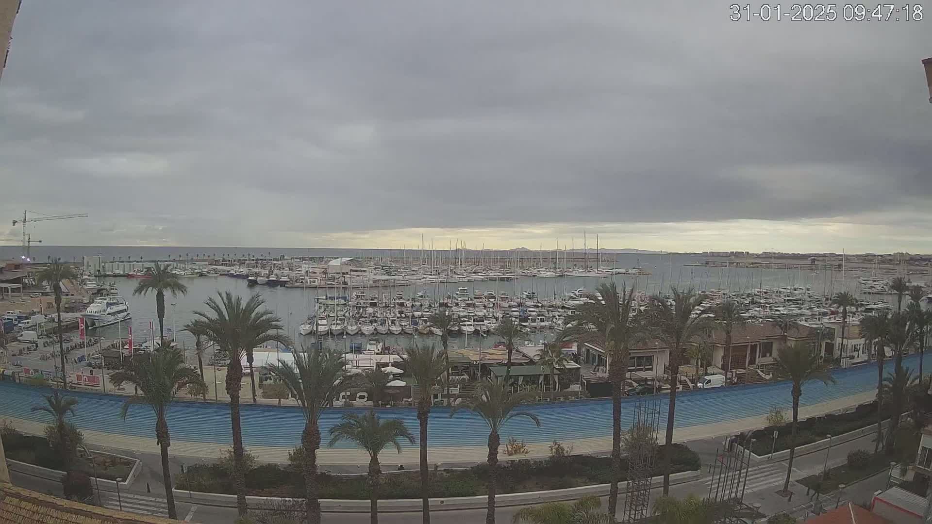 A large marina filled with numerous boats is visible under an overcast sky, surrounded by palm trees and buildings.