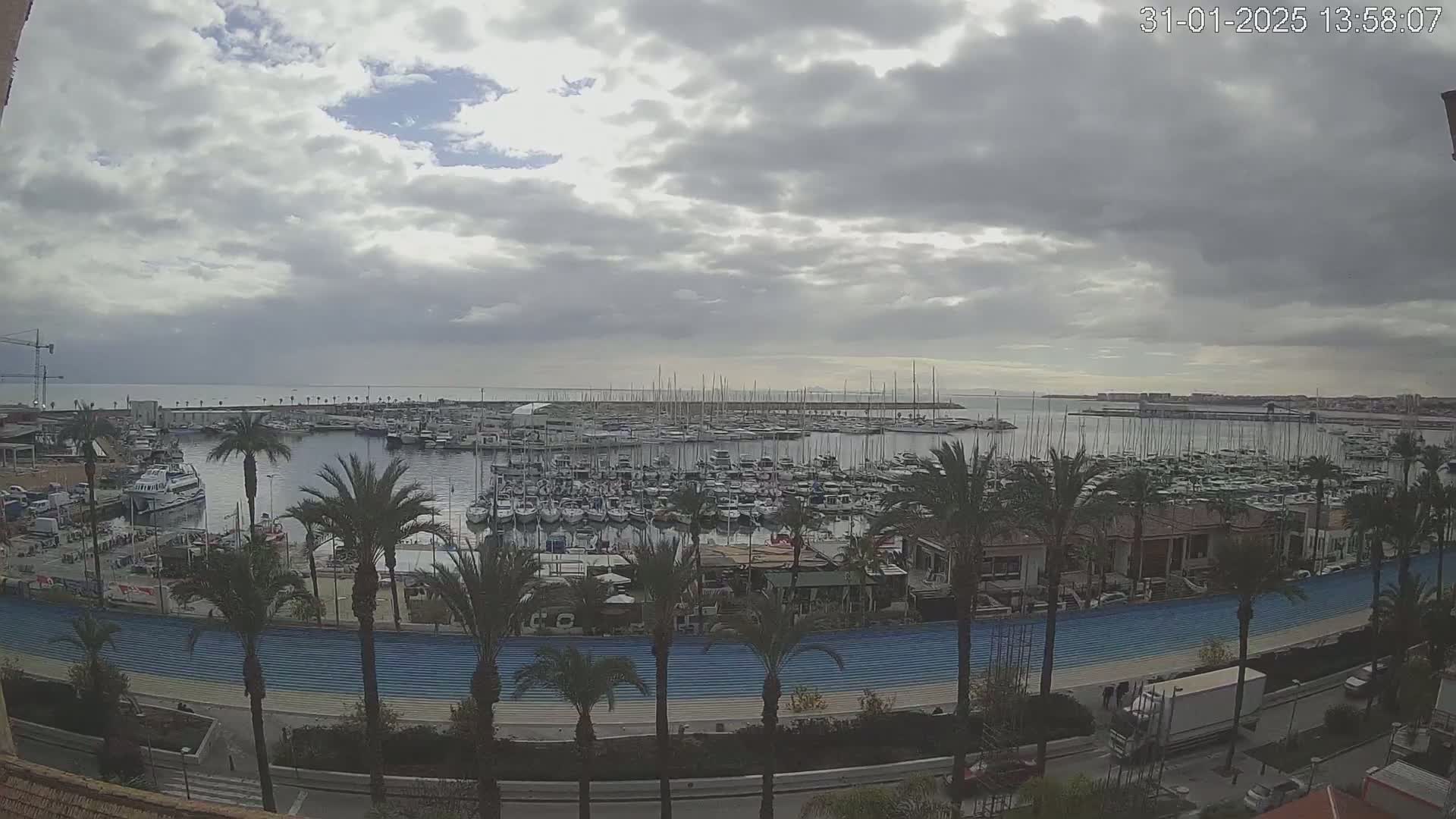 A crowded marina filled with sailboats and motorboats is seen from above on an overcast day, with palm trees lining a waterfront promenade.