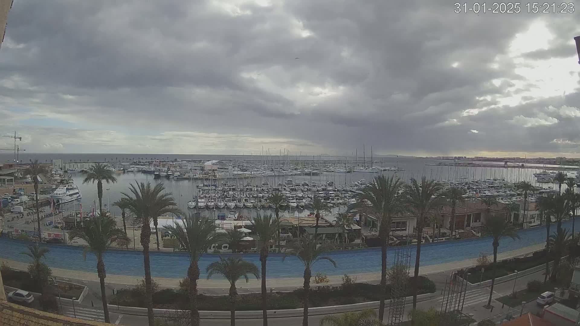 A harbor filled with numerous sailboats and motorboats is viewed from above on an overcast day, with palm trees lining a waterfront promenade.
