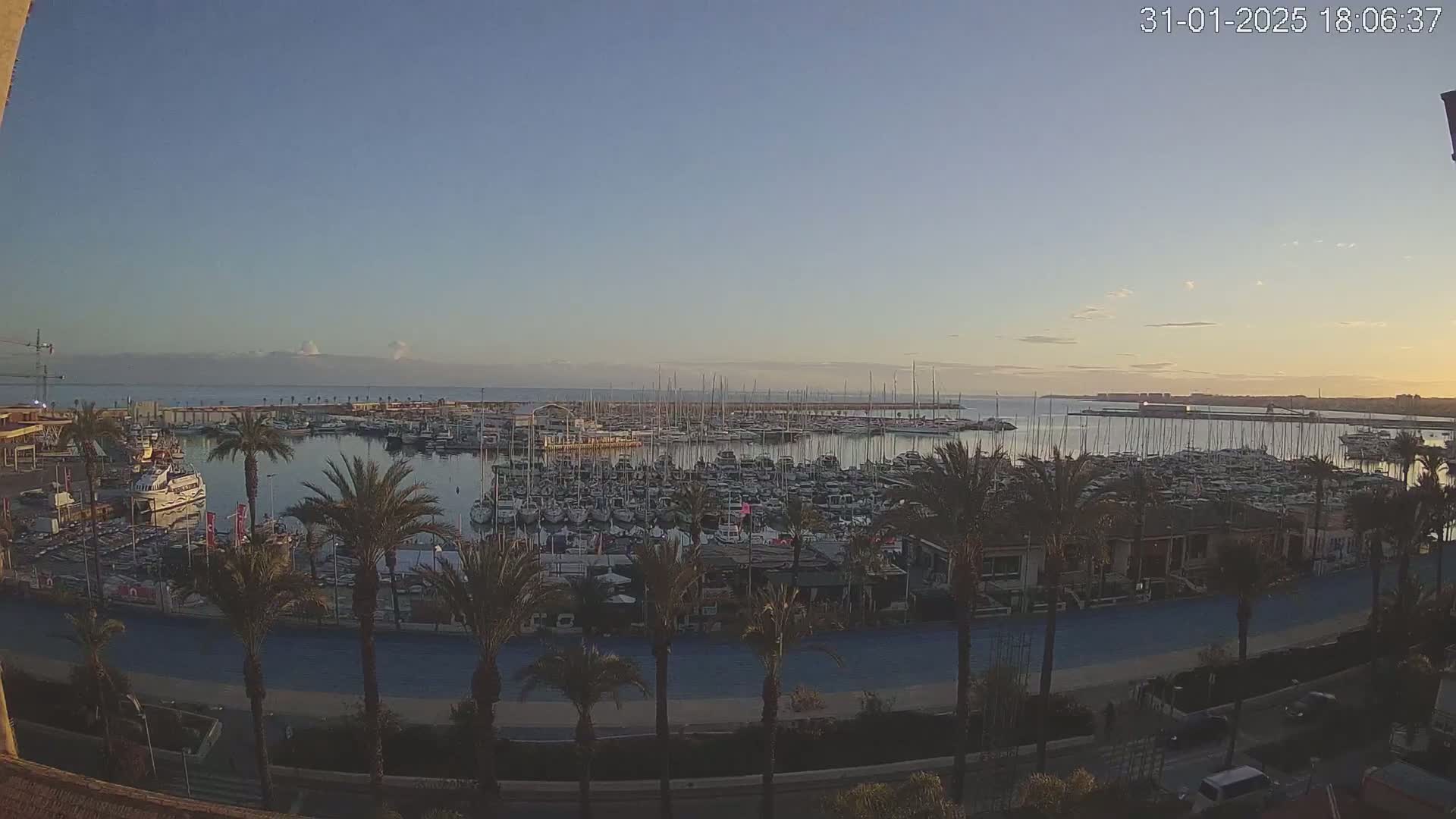 A calm harbor filled with numerous boats at sunset, palm trees lining a nearby road.