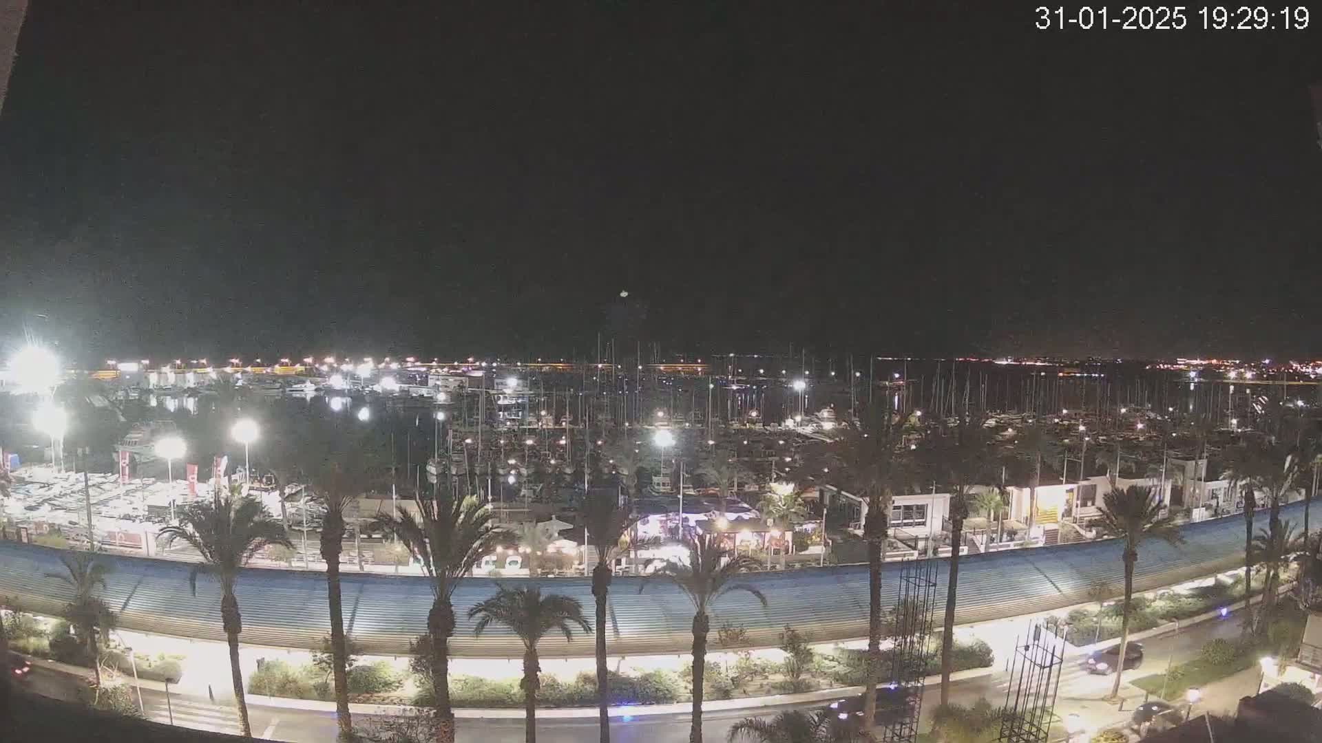 A nighttime, aerial view of a marina filled with boats, surrounded by palm trees and buildings, under a clear, dark sky.