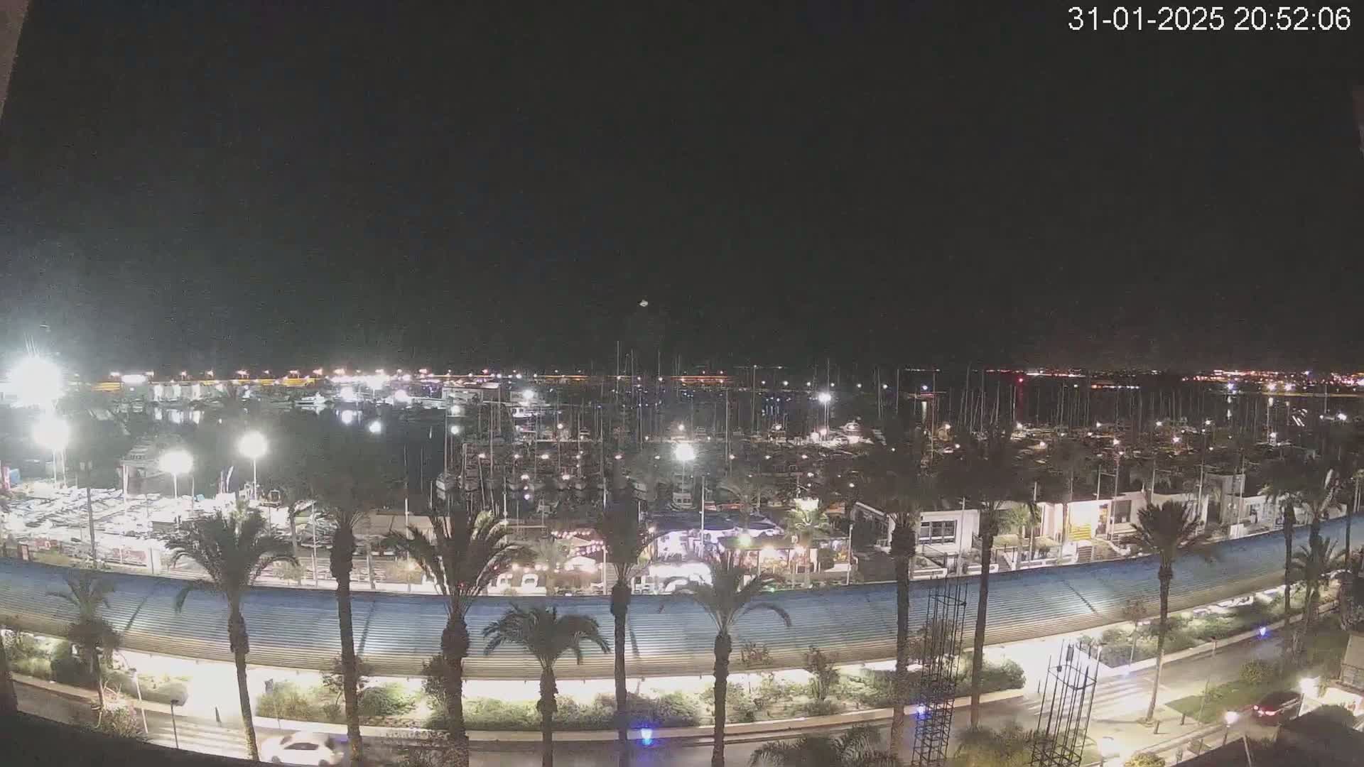 A nighttime view of a marina filled with boats, lined with palm trees and a curved walkway, under a clear, dark sky.