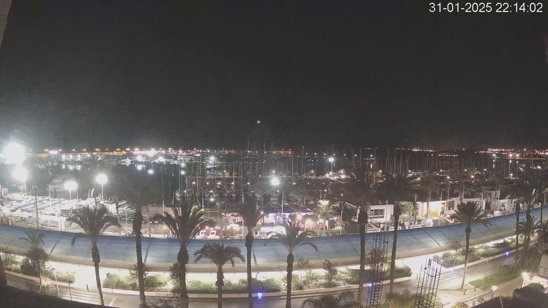 A nighttime view of a marina filled with boats, surrounded by palm trees and a paved walkway under a clear, dark sky.